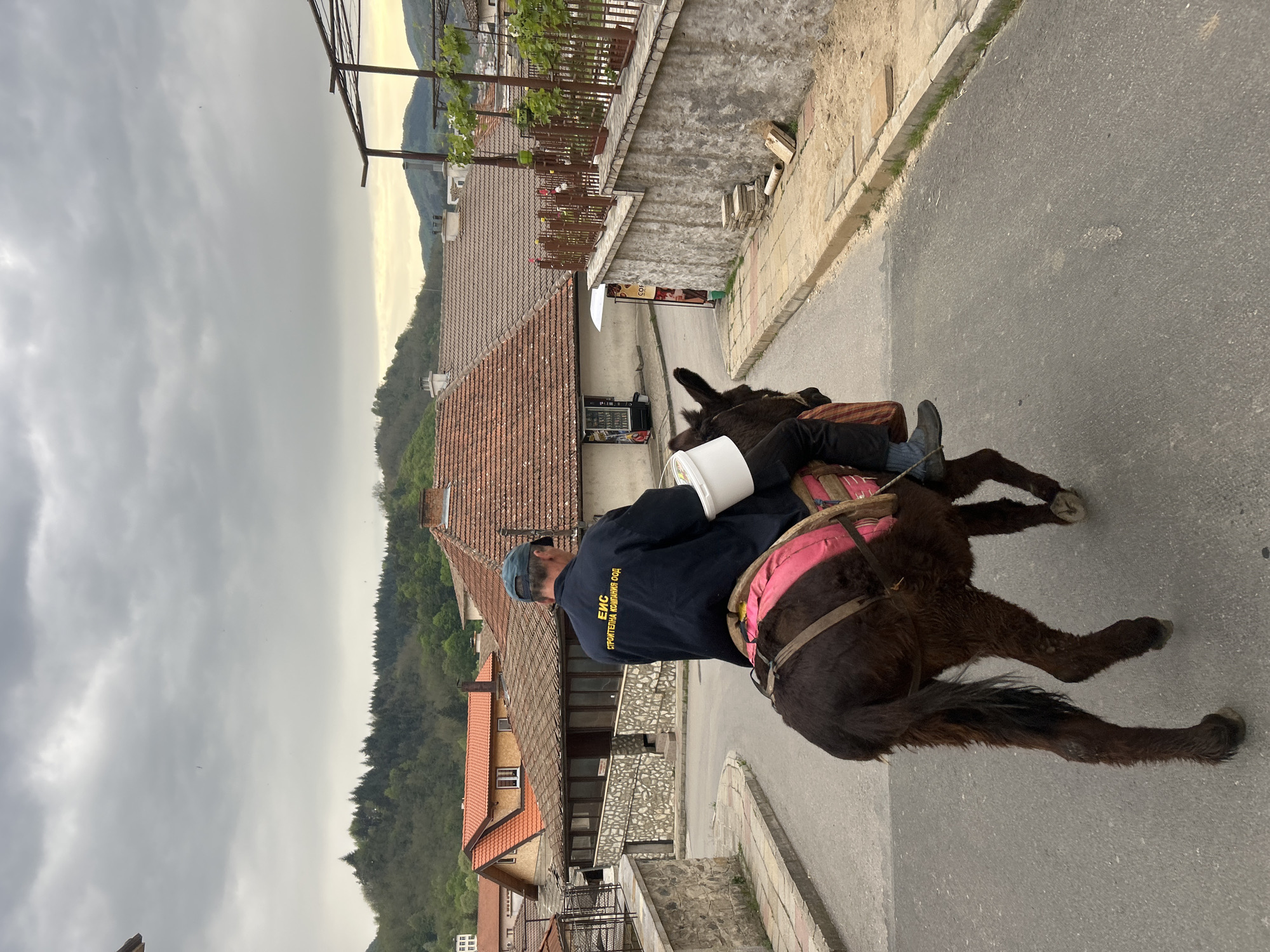 A man is riding a donkey on an asphalt road. The man wears a dark blue jacket with Cyrillic text on the back and a dark blue cap. He is carrying a white bucket. The donkey has a pink cushion strapped to its back. The surroundings include houses with red tiled roofs, buildings with stone facades, and distant hills. The sky is overcast. The location appears to be a street in a residential area of Zlatograd, Bulgaria.