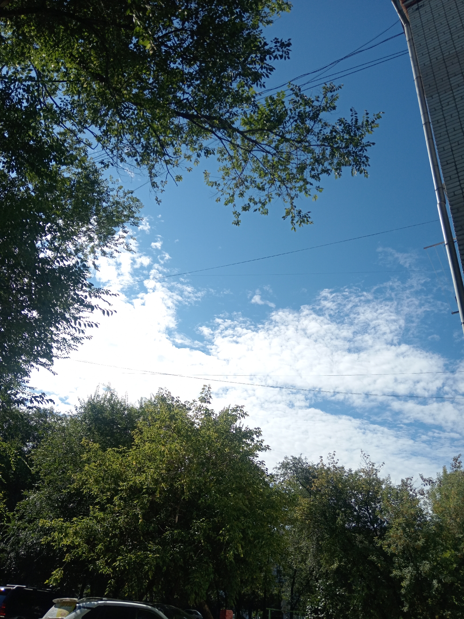 The image shows a street scene in Belogorsk, Russia, on a clear day with scattered clouds. In the foreground, a line of trees with dense green foliage stretches across the lower part of the frame, partially obscuring the view of parked cars below. A building with a white brick facade and a downspout is visible on the right edge of the image. Overhead, tree branches with green leaves extend from the top left corner, and several electrical wires are strung across the bright blue sky. The overall impression is one of an urban environment with significant greenery and infrastructure.