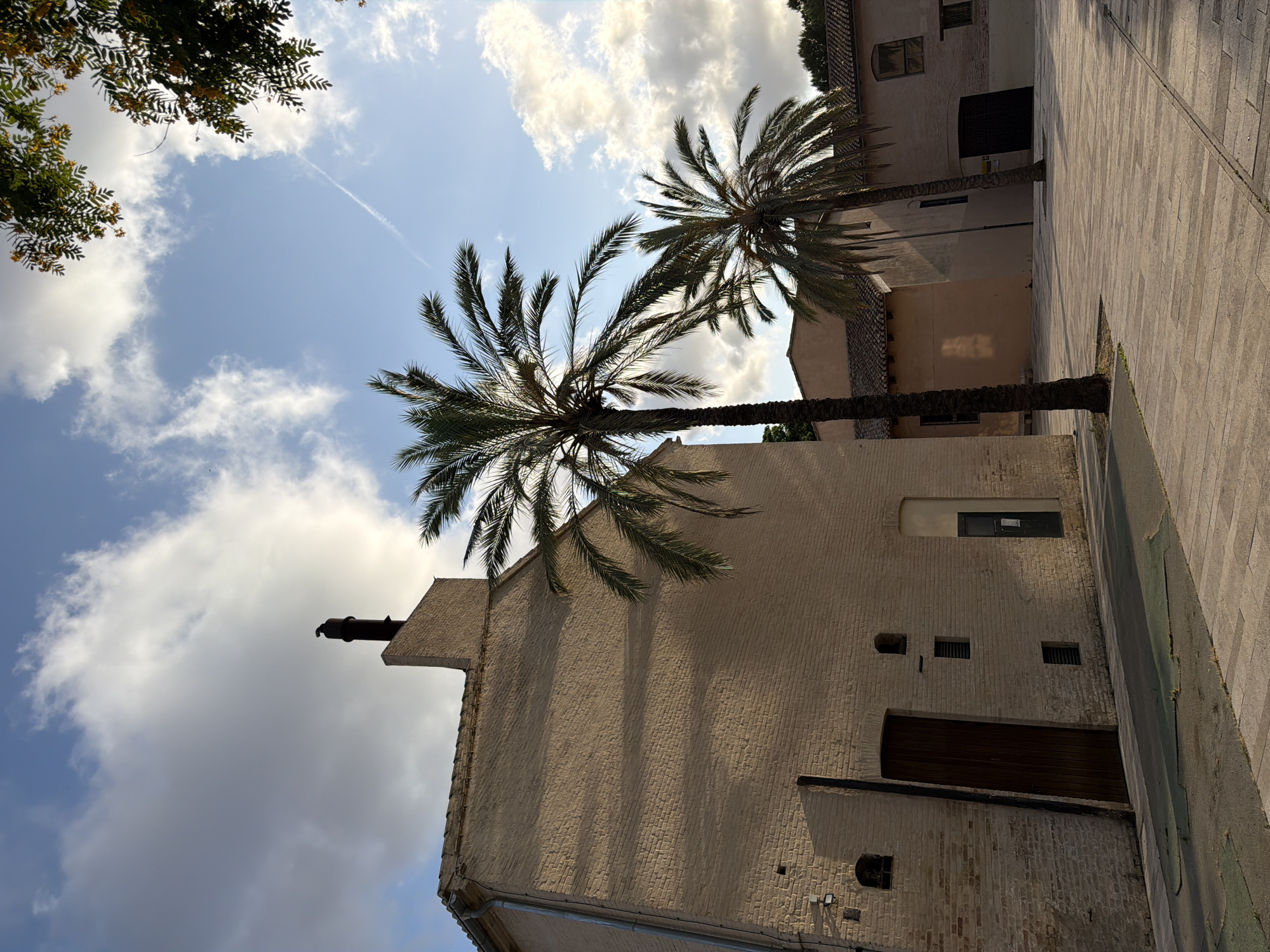 In an outdoor setting, a tall, slender palm tree stands prominently in the foreground, its fronds extending towards the sky. Behind it, another, slightly shorter palm tree is visible. The scene is dominated by a light-colored brick building on the left, featuring a dark wooden door and a chimney topped with a bird. To the right, a smaller, pale orange building is partially obscured by the palm trees. The ground is paved with rectangular stones, and a shadow is cast across the paved area. The sky above is a mix of blue with scattered white clouds, and a faint contrail is visible. The lighting suggests it is late afternoon.