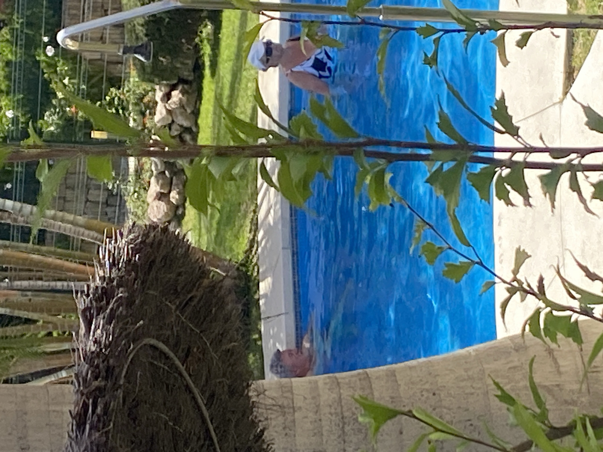 This media file captures a scene at a pool in Resinera-voladilla, Spain. Two individuals are present: one woman wearing a white swim cap and a black and white patterned swimsuit is partially submerged in the bright blue water, and a man, also partially submerged, is visible near the edge of the pool. The pool has a white tiled edge. The surrounding environment suggests a sunny day, with lush green grass, foliage, and rocks visible in the background. A portion of a palm tree trunk is prominent in the foreground, obscuring parts of the scene. The overall impression is of a relaxing outdoor setting. No text is visible in the image.