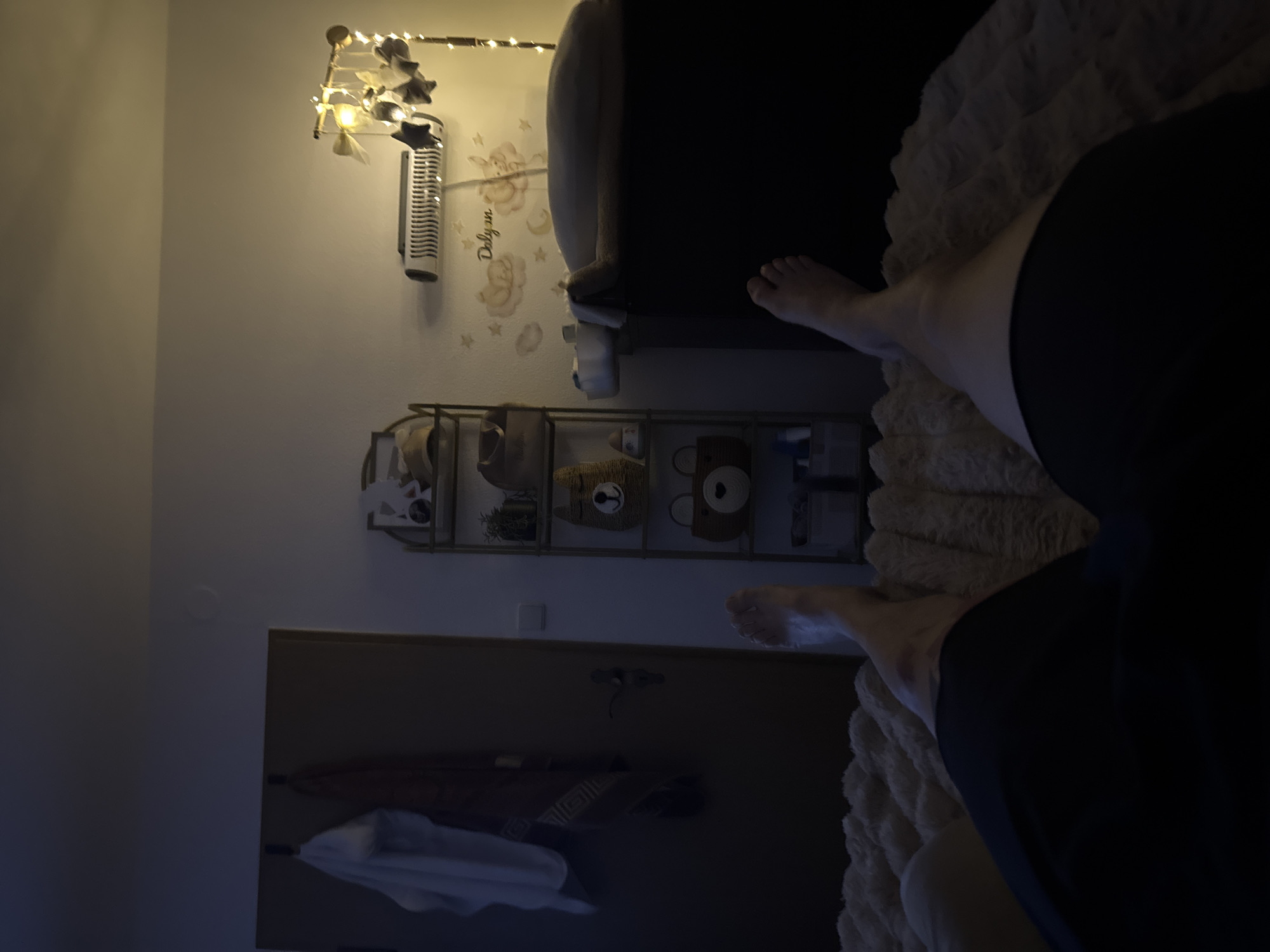 The image presents a bedroom scene. A bed with a plush, textured blanket is visible, partially covered by a dark-clothed figure. Bare feet extend from under the clothing. A shelf unit contains various items, including plush toys resembling bears. The wall has an air purifier and fairy lights, and some decorative elements. A door is also visible. Given the provided context, the location of this scene is Bietigheim-Bissingen, Germany.