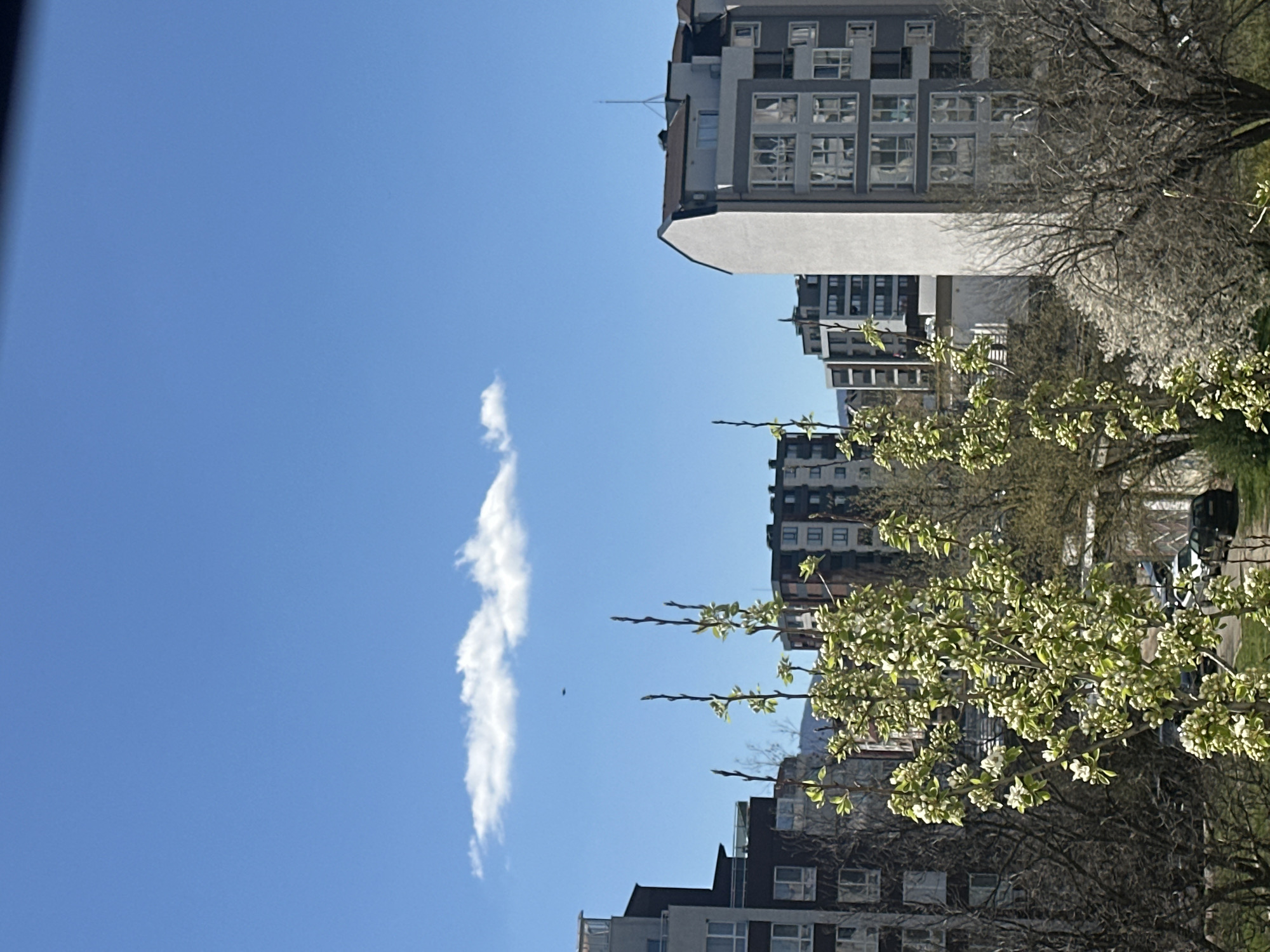 The image shows a cityscape in Sofia, Bulgaria, during a clear, sunny day. The camera angle is low, pointing upwards, capturing the sky, buildings, and trees in the foreground. A long, thin cloud stretches vertically in the blue sky to the left. Several multi-story residential buildings with modern architecture are visible, some with white facades and others with grey tones and visible window patterns. Bare trees and blossoming trees with light green leaves and white flowers are scattered around the buildings. In the middle of the sky, there is a small black dot that could be a bird or an insect. The perspective suggests the photo was taken from a street or park level.