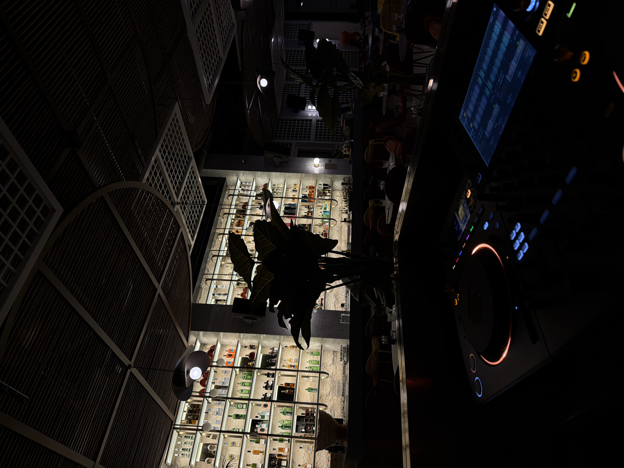 The interior of a bar in Budva, Montenegro is shown. A DJ console sits on a dark counter. Shelves stocked with bottles of liquor are illuminated behind a large leafy plant. Above the shelves are light fixtures and lattice-like structural elements. Tables and chairs are set up in the background.