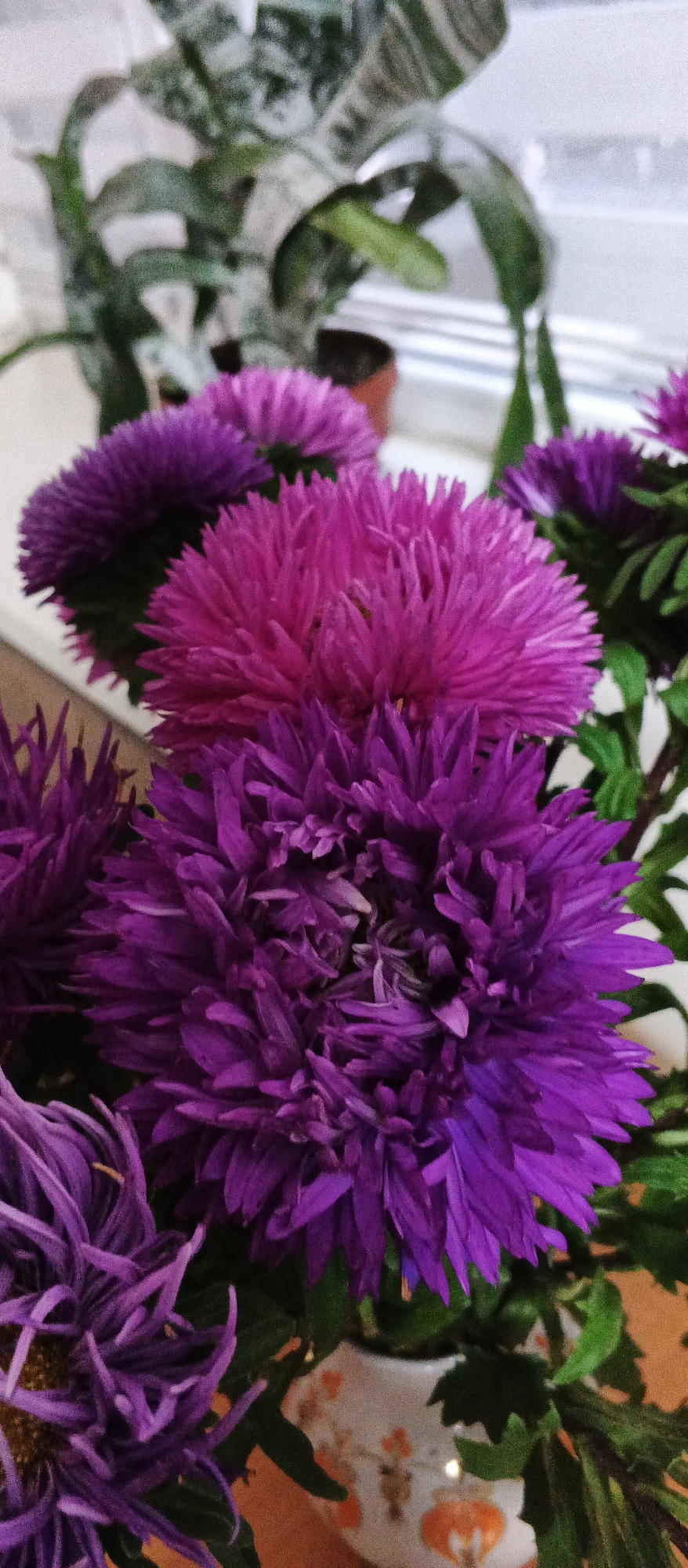 In the city of Smila, Ukraine, a close-up shot showcases a vibrant bouquet of asters. The flowers are predominantly in shades of purple and pink, with densely packed, spiky petals. The two largest asters in the foreground are a deep purple and a rich fuchsia, respectively. Behind them, other purple asters are visible, some slightly blurred. Green leaves and stems are interspersed among the blossoms. The bouquet sits in a small, decorative vase with a pattern of orange and white shapes, possibly floral or geometric. In the blurred background, a plant in a brown pot can be seen, suggesting an indoor setting, possibly near a window. The lighting is soft, highlighting the textures of the flowers.