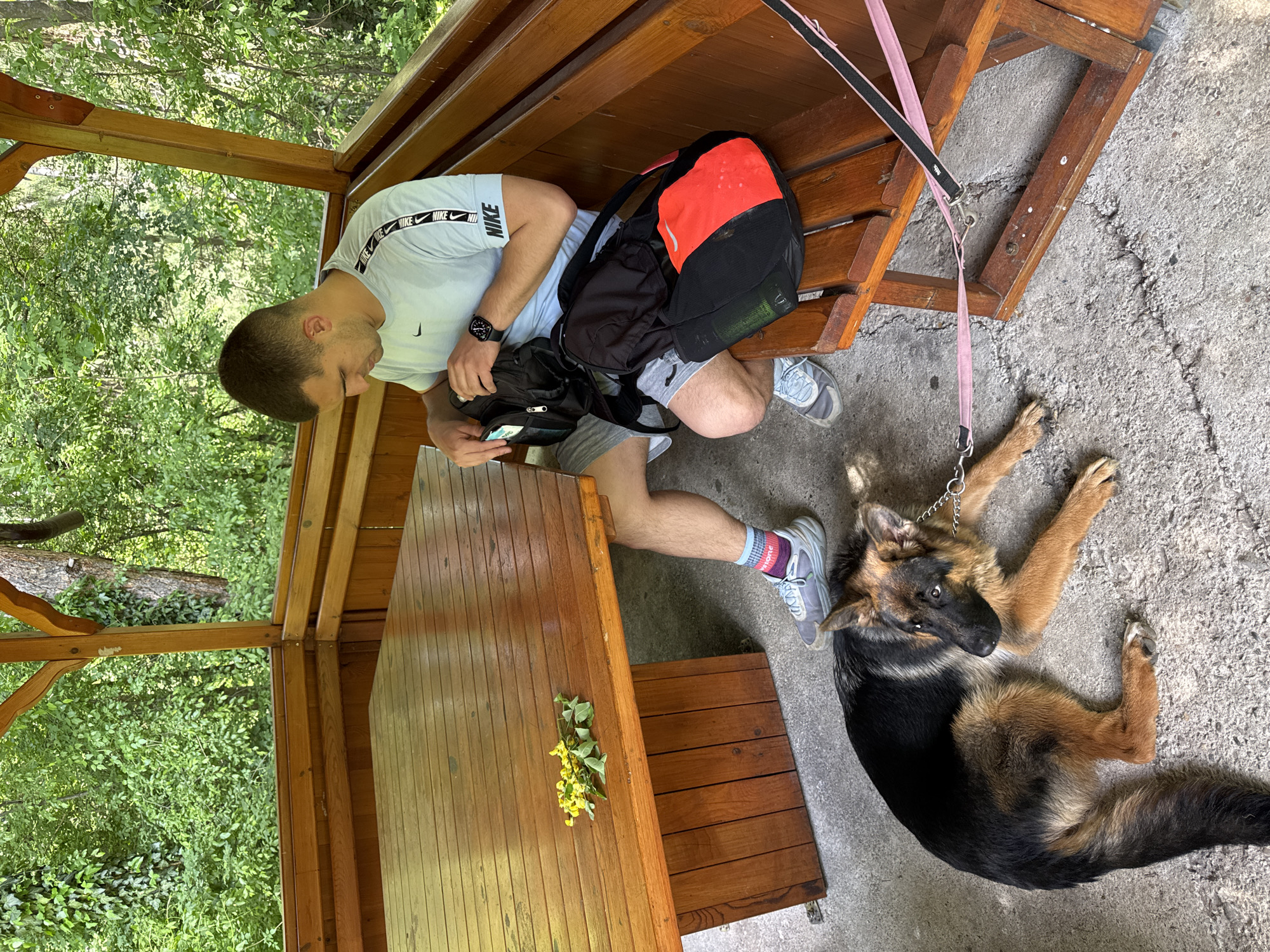A man is sitting on a wooden bench inside a wooden gazebo, looking at a smartphone in his hands. He is wearing a light blue t-shirt with "NIKE" printed on the collar, gray shorts, and gray sneakers with colorful socks. A black and red backpack sits next to him on the bench. A German Shepherd dog is lying on the ground near the bench with a pink leash attached. There is a wooden table in front of the man with yellow flowers placed on it. The location is in the city of Blagoevgrad, Bulgaria.