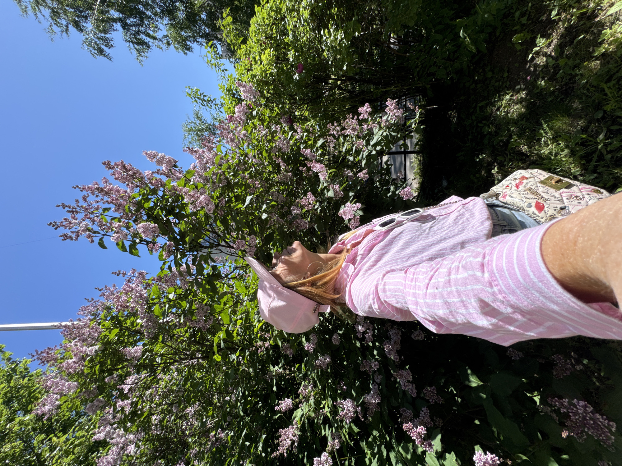 The image depicts a woman outdoors on a clear, sunny day, likely in Saint Petersburg, Russia. The scene is rich with natural elements, primarily featuring lush green foliage and numerous lilac bushes laden with pale purple blossoms, indicating spring or early summer.
The subject is a woman, visible from the chest up, with blonde hair. She is wearing a light pink and white striped long-sleeved shirt, a light pink baseball cap, and round hoop earrings. White-framed sunglasses are resting on her shirt collar. A patterned handbag with decorative text and heart designs is partially visible near her hip. Her head is tilted back, and she is looking upwards towards the bright blue sky, suggesting a moment of relaxation or appreciation of the weather and surroundings.
The background consists of dense green trees and flowering lilac bushes, with patches of clear blue sky. The strong, natural light indicates it is daytime. The overall atmosphere conveys a sense of peaceful enjoyment in a blooming, natural setting. No distinct, readable text is present other than decorative elements on the handbag.