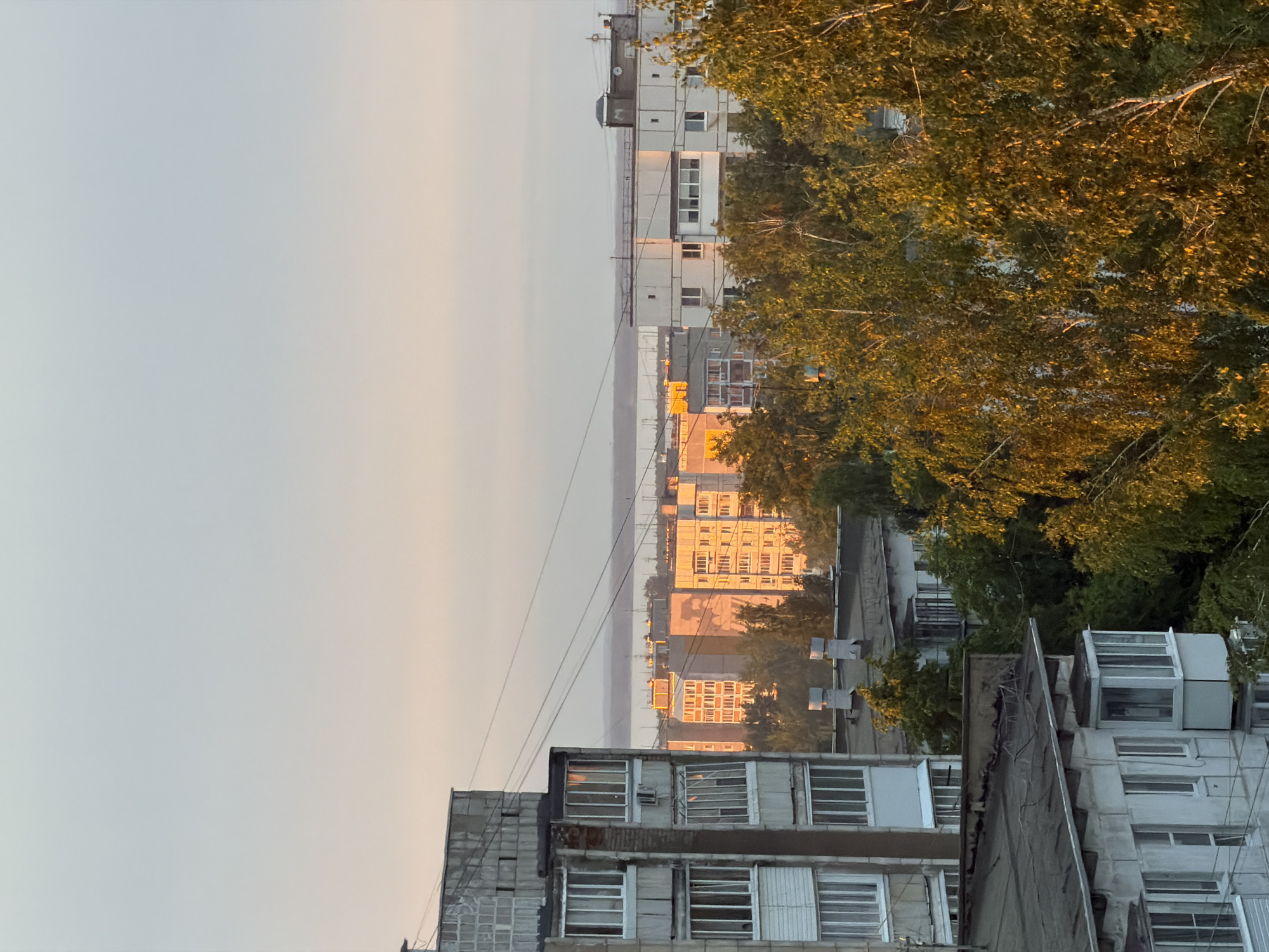 The image depicts a view from an elevated position in the city of Chaikovsky, Russia. In the foreground are the tops of several multi-story buildings, appearing to be residential apartments. These buildings show signs of age and wear. Above them, multiple rows of buildings stretch towards the horizon. The buildings further away are smaller and are illuminated by golden light, likely from the sunrise or sunset. A large tree with yellowish-green leaves occupies the right side of the frame. A hazy sky makes up the background, with light bands of colors. High tension wires are visible above some of the buildings in the distance.