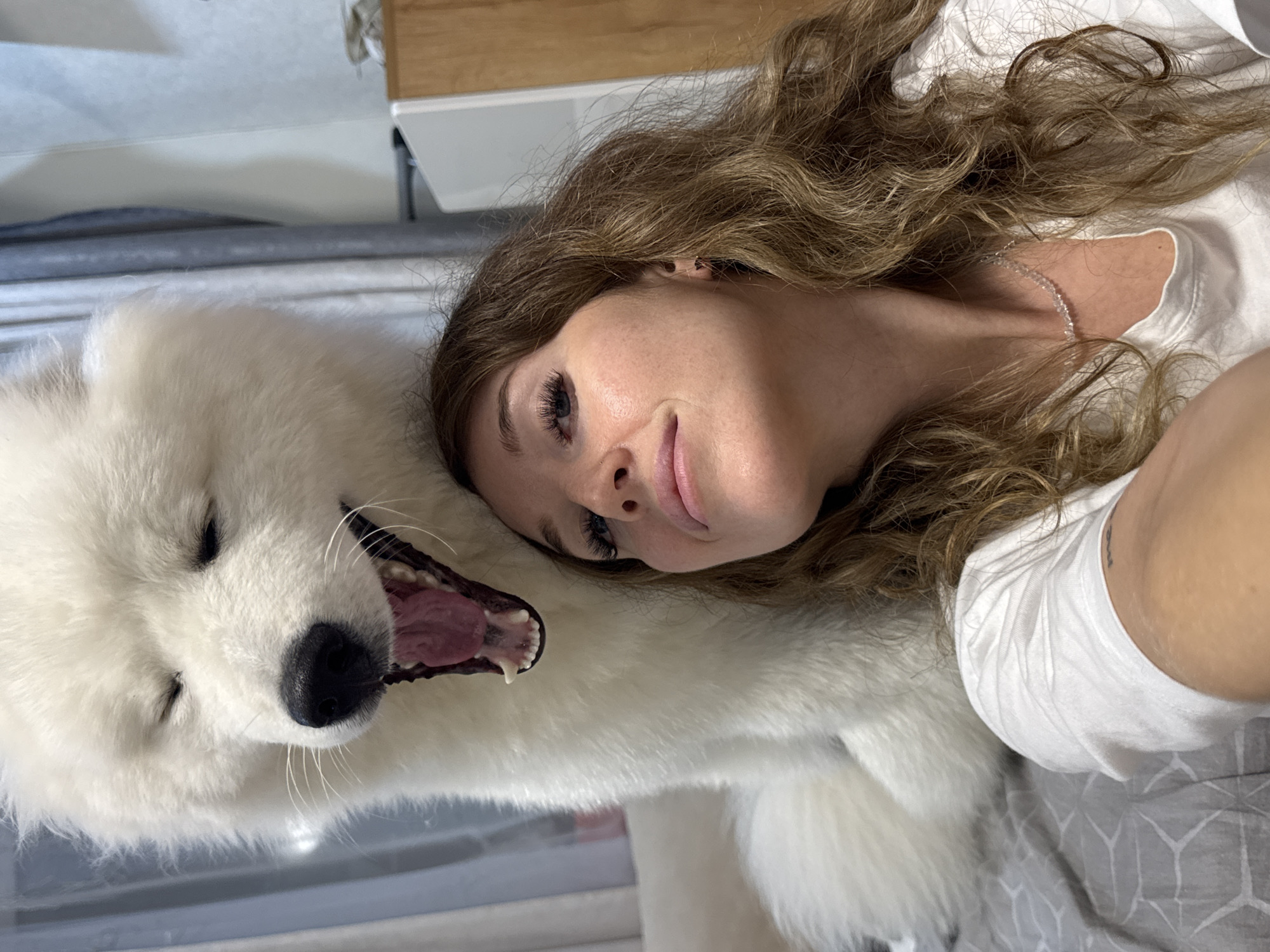 This is a close-up, vertically oriented selfie of a young woman and a Samoyed dog, likely taken indoors. The woman is lying down, with her head resting on the dog's back. Her face is turned towards the camera, with her eyes looking slightly upward. She has long, wavy brown hair that frames her face and extends across the frame. She is wearing a white t-shirt. Her expression appears relaxed and happy, with a slight smile.
The Samoyed dog is white and fluffy, with its mouth open, revealing its pink tongue and teeth. Its eyes are closed, suggesting it might be playing or resting. The dog's fur is dense and soft, filling a large portion of the frame.
The background is out of focus but suggests an indoor setting. There is a hint of furniture, possibly a wooden dresser or shelf, in the upper right corner. The overall lighting appears to be soft, indicating it could be daytime, but not necessarily bright sunlight. The mood conveyed is one of affection and companionship between the woman and her dog. There is no visible text in the image.
