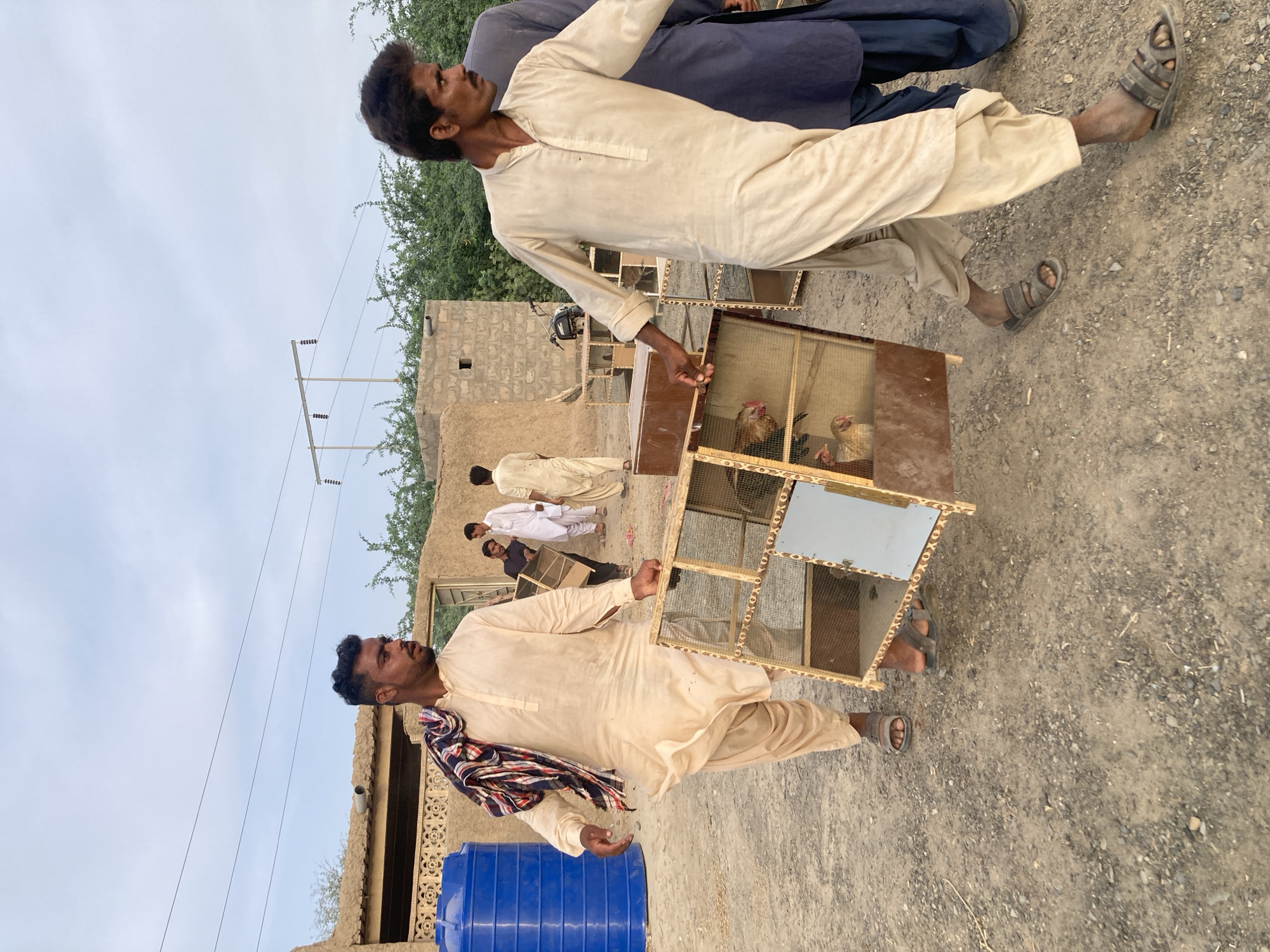 The image depicts an outdoor scene in Wayāro, Pakistan, likely in a rural or semi-urban area, under an overcast or hazy sky. The ground is unpaved and dusty.
Two men in the foreground are engaged in transporting or handling chickens in large, wooden, multi-compartment cages. The man closest to the viewer wears a light-colored shalwar kameez and has a distinctive colorful, striped shawl draped over his left shoulder. He has dark hair and a beard, and he holds a cage that contains at least two chickens – one with light feathers and another darker one. He is wearing sandals.
Slightly behind him, another man, similarly dressed in a light-colored shalwar kameez, also holds a wooden cage, which appears to be empty. He has dark hair and a mustache. In the background, several other men are visible, some standing, including one wearing a dark blue garment.
The setting includes simple, light-colored brick or mud buildings and green foliage (trees or bushes). Power lines and utility poles are visible against the muted sky, indicating some level of infrastructure. A blue plastic barrel or drum is also present near the foreground. The men's expressions appear neutral, focused on their activity. No discernible text is visible in the image.