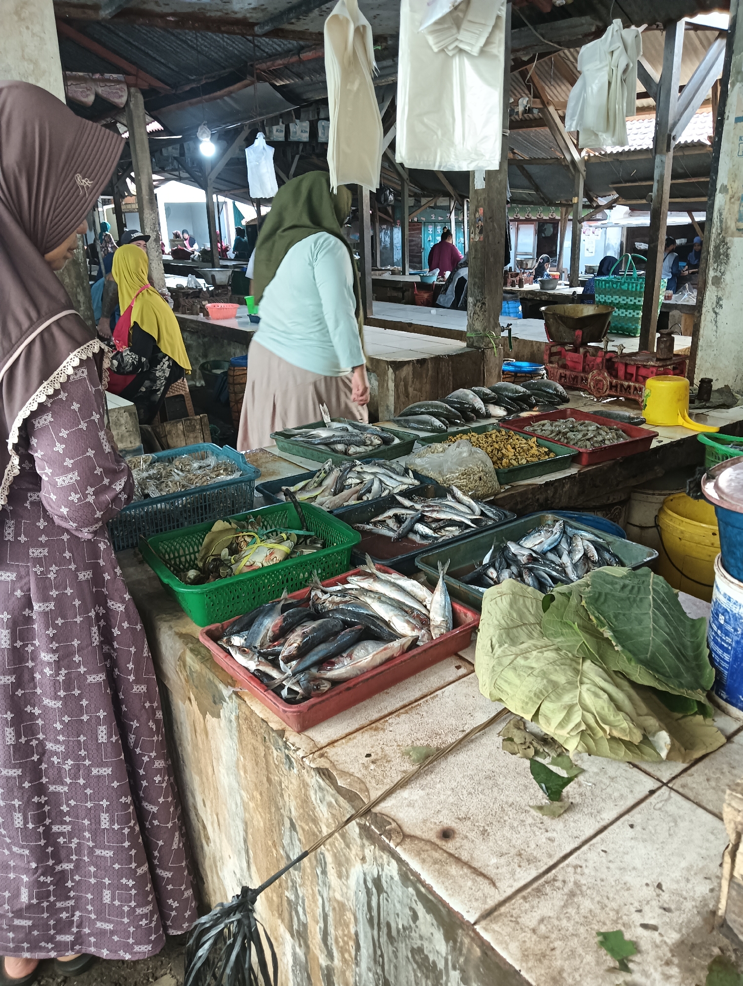 In Cluwak, Indonesia, a bustling market scene unfolds, focusing on a stall displaying an abundant assortment of fresh fish. The stall is constructed with weathered wooden beams and a corrugated metal roof, suggesting an open-air or semi-enclosed environment common in Indonesian markets. Various types of fish, including mackerel and sardines, are neatly arranged in red, green, and black plastic crates, their scales shimmering under the ambient light. Some fish are whole, while others appear to be gutted and prepared for sale.
In the foreground, a woman, partially obscured by the frame, is seen from the waist down, wearing a patterned purple dress and a brown hijab, her feet clad in dark sandals. To her left, another woman in a yellow hijab and a patterned top is visible. A third woman, dressed in a light green hijab and a pastel blue top, stands behind the fish display, appearing to be attending to the merchandise or customers. The background reveals more market stalls and individuals, hinting at a lively commercial atmosphere. In the mid-ground, a green woven basket holds what appear to be crabs or other shellfish. Piles of dried goods, possibly shrimp or small fish, are also present in various containers. Yellow and blue buckets are strategically placed around the stall, likely for water or waste disposal. The overall impression is one of vibrant commerce and the daily life of a local Indonesian market.