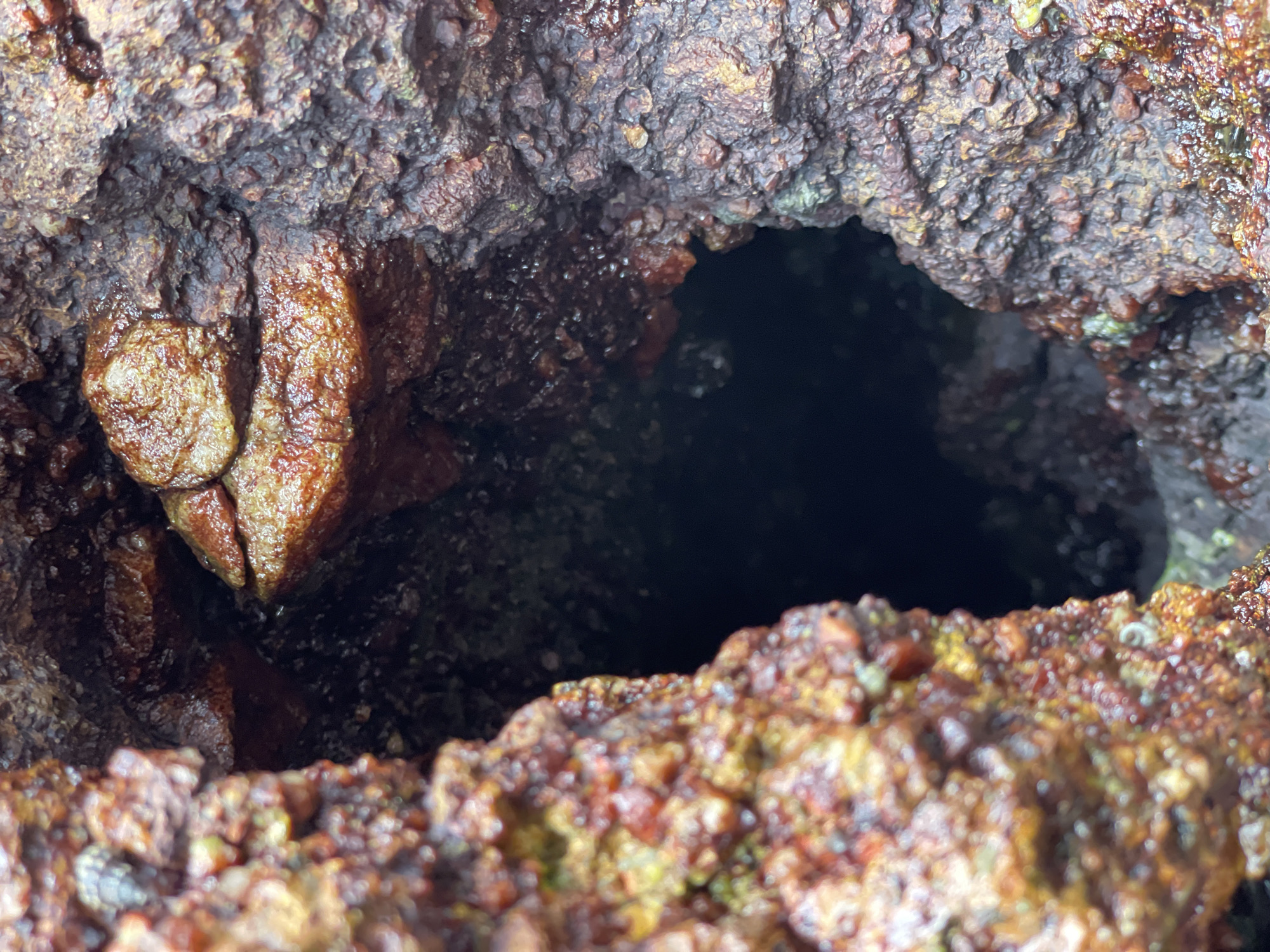 The image shows a close-up view of a dark, rocky crevice. The rocks are rough in texture and vary in color from dark brown to reddish-brown and yellow. Some parts of the rock appear wet and shiny, suggesting a damp environment. The crevice itself is deep and appears to lead into darkness, with the opening being irregular in shape. There is no indication of the city of Pattaya City, Thailand, or any people or specific objects that would place it in that location. The image focuses solely on the geological features of the rock formation.