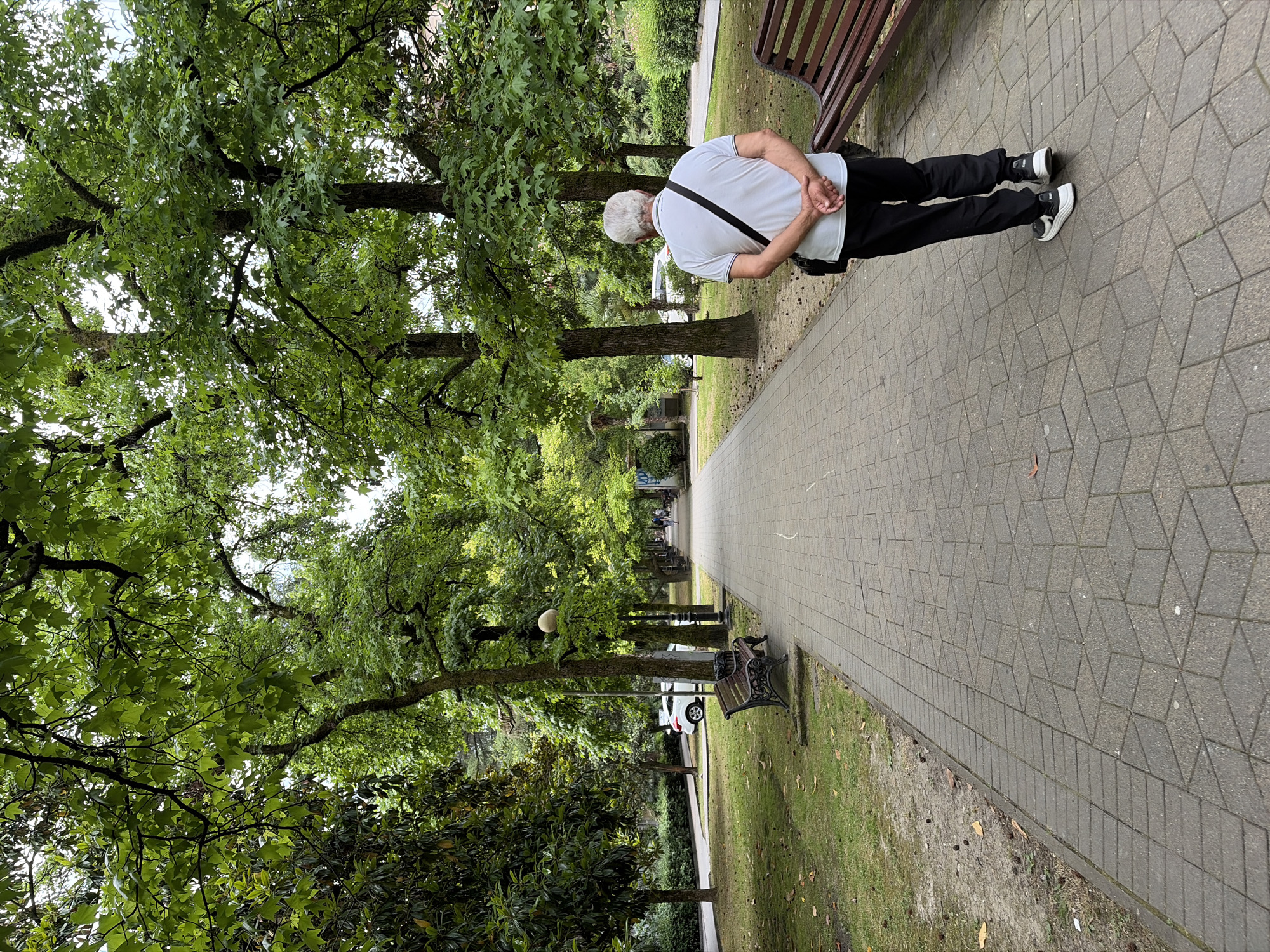 In Sochi, Russia, a man with white hair, wearing a white polo shirt and black pants, walks away from the camera on a paved park path lined with mature trees. He has his hands clasped behind his back and a dark bag slung across his right shoulder. To his left, a park bench sits on a grassy area. The path stretches into the distance, where other people can be seen walking and a white car is parked. Lush green foliage from the trees forms a canopy overhead, and the sky appears overcast.