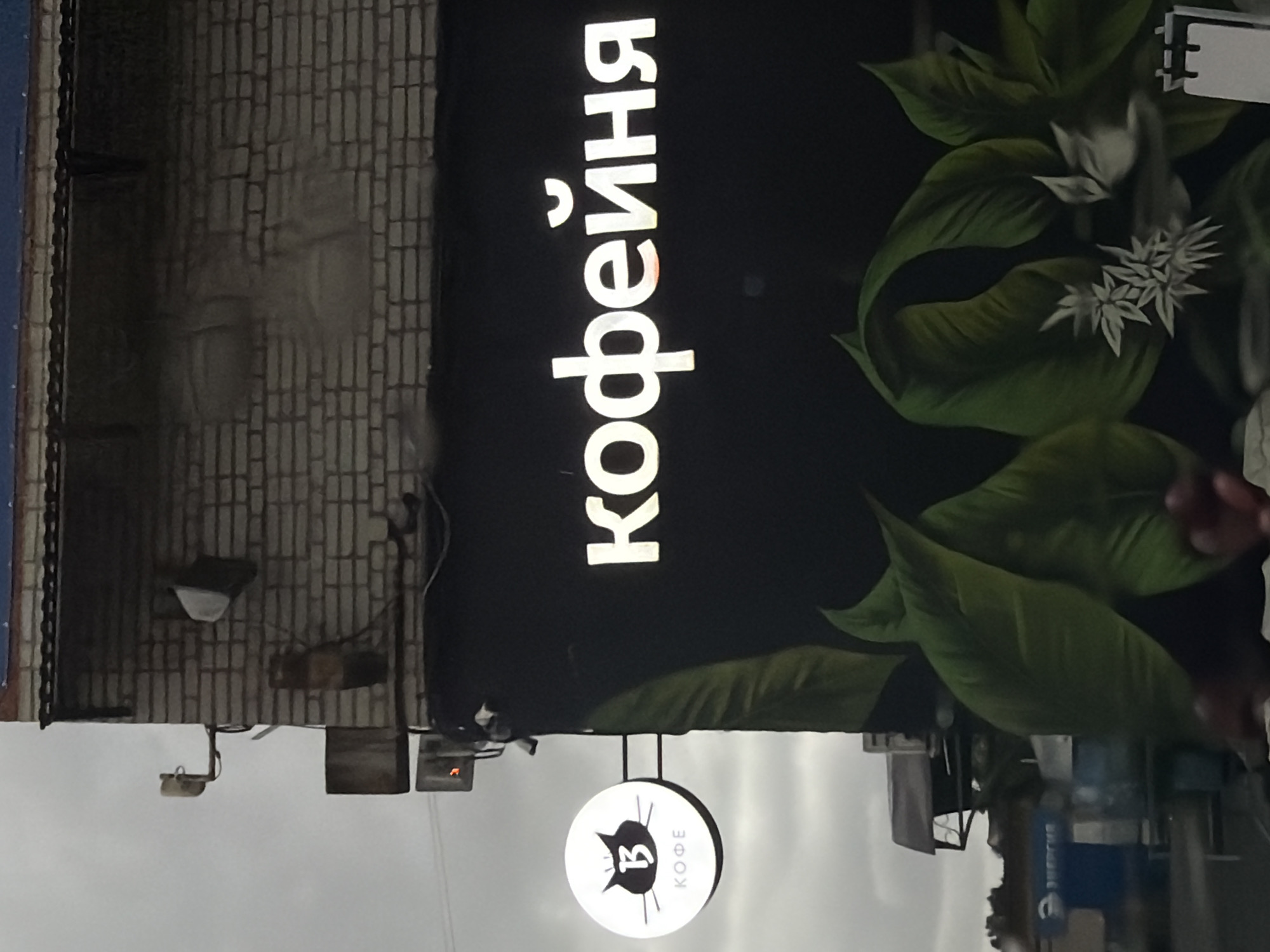 The image shows a sign for a coffee shop. The sign is lit and has the word "Кофейня" written in large, white Cyrillic letters. Below the main sign, there is a smaller round sign with a black cat silhouette and the word "КОФЕ" (coffee) written below it. The background of the main sign is black and features a painting of green coffee leaves and white flowers. To the left of the sign, a brick wall is visible, and to the right, parts of a blue and white building are partially visible, possibly a store or cafe. The lighting suggests it is evening or night, as the sign is illuminated. The overall impression is of a storefront, likely in a city. The location is identified as Birobidzhan, Russia.