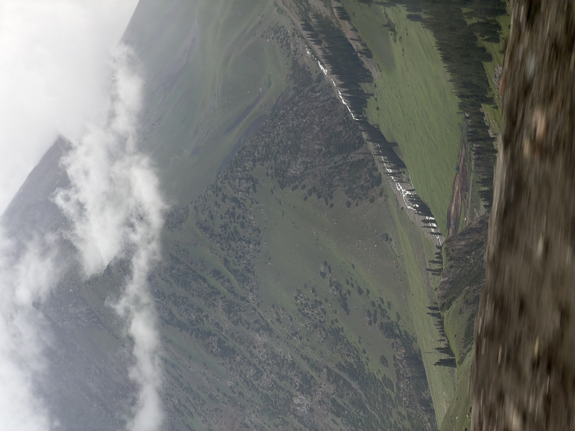 The image depicts a majestic mountain landscape in Kyrgyzstan. In the foreground, a blurred area suggests motion, possibly from a vehicle. The mid-ground features a vibrant green valley with a winding river or stream flowing through it, bordered by a dense line of tall, dark green coniferous trees. The terrain then ascends into rugged, green mountainsides dotted with rocky outcrops and patches of vegetation. Higher still, dramatic clouds partially obscure the peaks of the mountains, creating an ethereal and atmospheric effect. The sky is overcast, contributing to the subdued lighting of the scene. The overall impression is one of natural grandeur and serene wilderness.