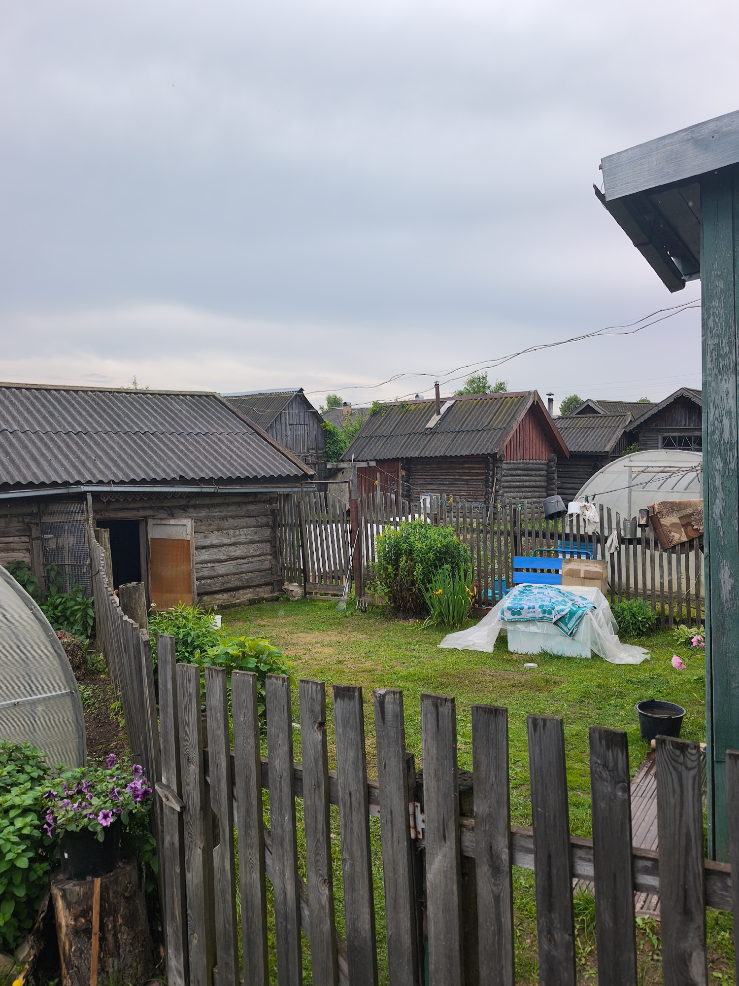 The image depicts a rural backyard scene in Kady, Russia, under an overcast sky. A weathered wooden fence in the foreground separates the viewer from a grassy yard. Beyond the fence, several rustic wooden houses with corrugated metal roofs are visible. In the middle ground, a small greenhouse structure stands next to a wooden fence. Various objects are scattered in the yard, including a blue bench, a white cooler covered with a green and white patterned cloth and plastic sheeting, a cardboard box, and a black bucket. Green foliage and flowering plants are abundant throughout the scene. The overall impression is one of a lived-in, slightly cluttered, and modest rural dwelling.