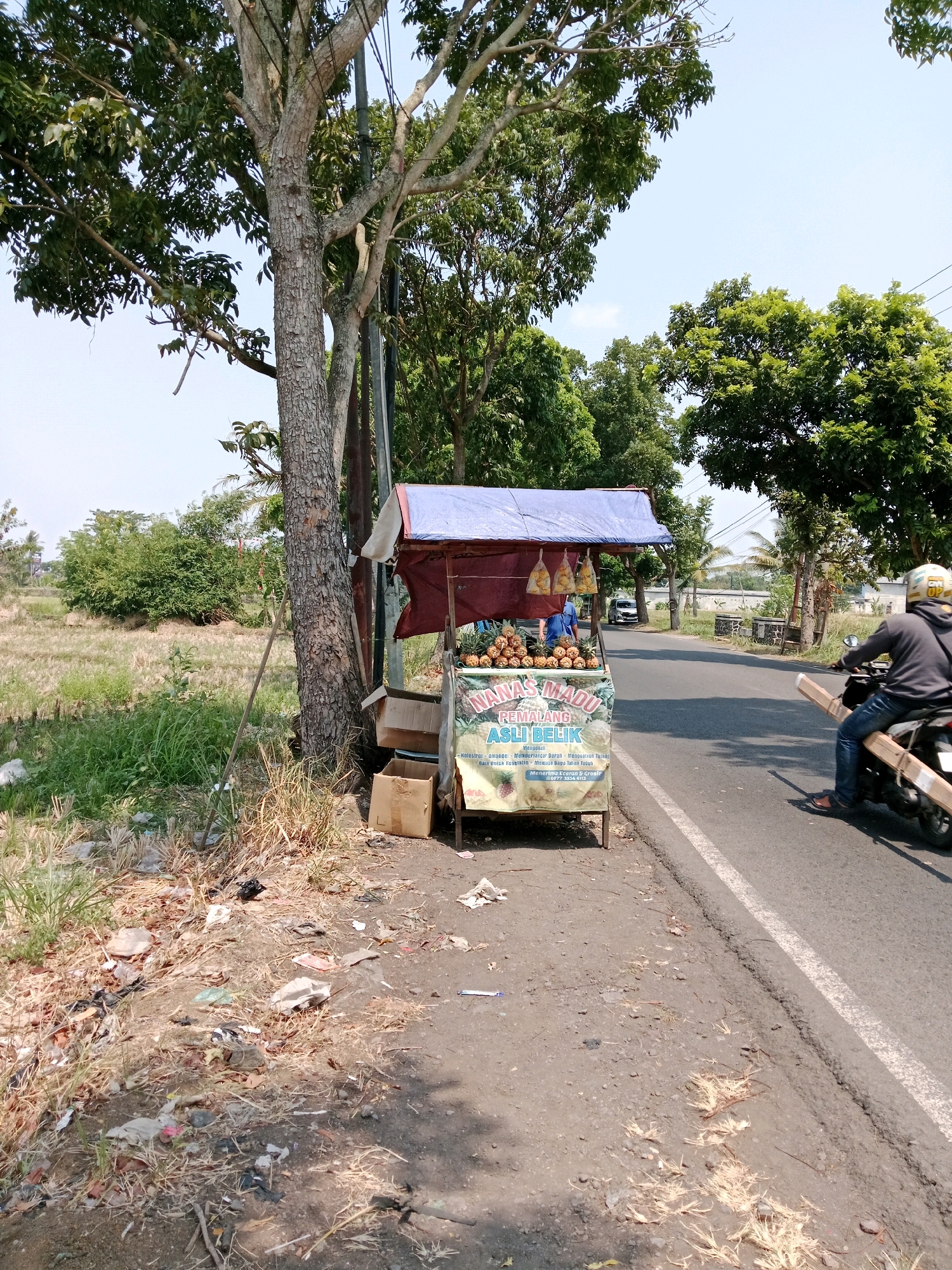 The image depicts a roadside scene in Karangtengah, Indonesia. A fruit stand displaying pineapples is positioned by the side of a paved road. Several cardboard boxes are stacked near the stand. A person on a motorcycle, carrying a wooden plank, is traveling away from the camera on the road. The environment includes a large tree to the left, with its trunk visible and branches extending upwards. Beyond the road, there are more trees and a field of dry grass. Debris, including plastic bags and dry leaves, is scattered along the roadside. The sky is clear and blue.