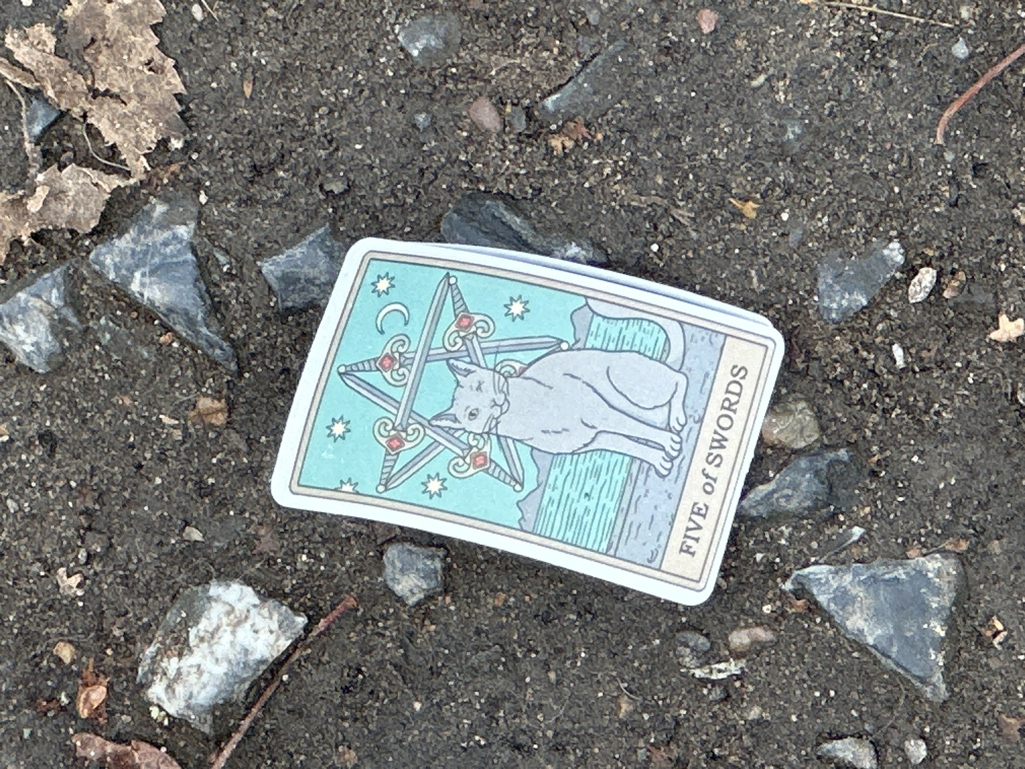 A single tarot card, specifically the "Five of Swords," lies face up on dark, granular soil mixed with numerous small, irregular pebbles and stones, along with scattered dried brown leaves and thin reddish-brown twigs. The card features a white border surrounding an illustration. The upper portion of the illustration displays a light blue background with five swords arranged in a star-like configuration around a winking, light gray cat that is seated. Below the cat, a light blue body of water with horizontal wave lines and distant dark mountains is depicted. The bottom of the card has a light gray band containing the text "FIVE of SWORDS." The scene is illuminated by ambient natural light. This outdoor scene is situated in the city of Chaikovsky, Russia.