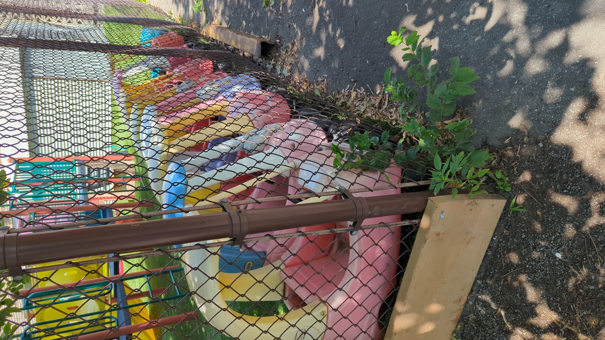 The image shows a collection of brightly colored plastic playground equipment, possibly slides and tunnels, piled behind a chain-link fence. The equipment is predominantly pink, yellow, and blue. Some of the plastic pieces appear to be partially embedded in the ground or leaning against each other. A brown metal pipe, likely part of the fence structure, runs horizontally across the foreground. To the right of the fence, a patch of green foliage grows amongst debris and asphalt, with dappled sunlight casting shadows from unseen trees onto the ground. A piece of unfinished wood is propped against the fence in the lower right corner. The scene suggests a neglected or stored playground, possibly outdoors. The lighting indicates it is daytime, with the sun casting distinct shadows. There is no visible text in the image.
