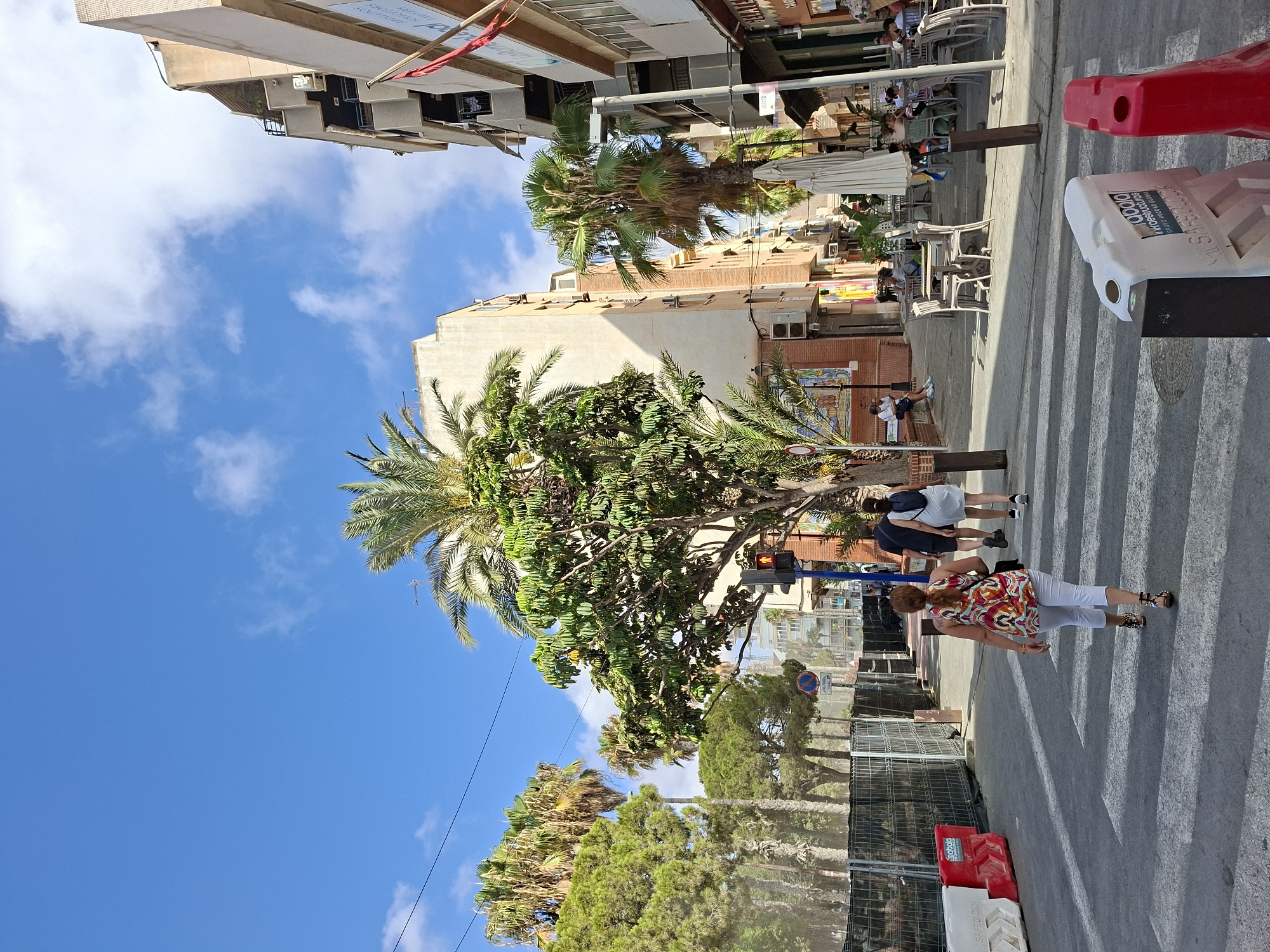 The image depicts a street scene in Torrevieja, Spain, with a focus on a pedestrian crossing. In the foreground, a woman with auburn hair, wearing a patterned sleeveless top and white capri pants, is walking away from the camera across the zebra crossing. Behind her, a couple is also walking across the street; the man is wearing a dark t-shirt and shorts, and the woman is in a light-colored dress with a backpack.
The street is lined with buildings, some appearing to be residential or commercial, with balconies and air conditioning units visible. Palm trees and other leafy trees are abundant throughout the scene, suggesting a warm climate. Several outdoor cafe tables and chairs are set up on the sidewalk to the right, with some patrons seated. Construction barriers, one red and white and another red, are positioned near the crossing. A traffic light is visible, showing a red figure for pedestrians. The sky is blue with scattered white clouds. The scene appears to be on a sunny day.