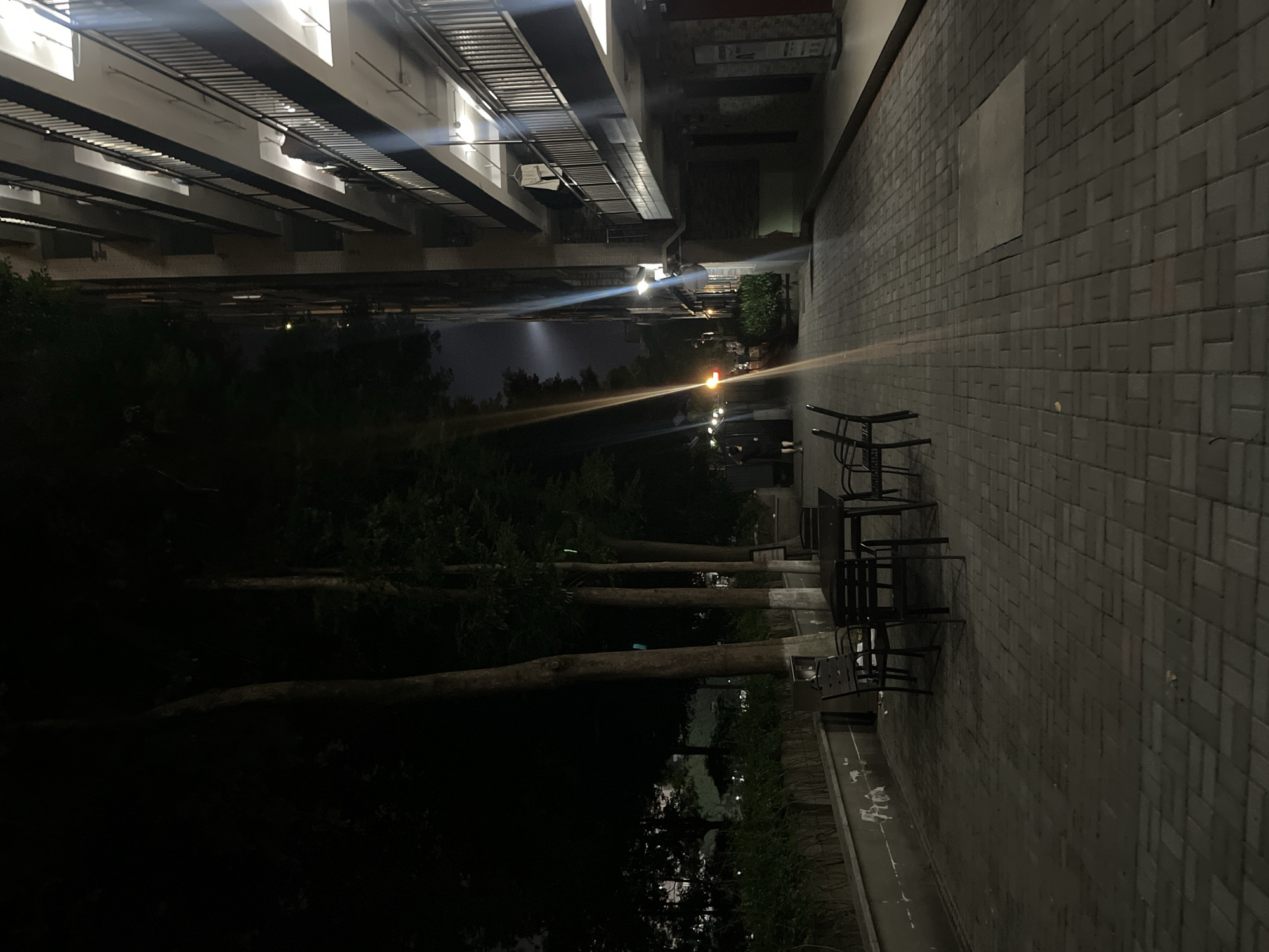 The image captures a nighttime scene within Yuzhong District, China, depicting an outdoor pedestrian pathway flanked by dense foliage and an urban building structure. On the left, a dark area characterized by tall trees and dense undergrowth is present, bordered by a low concrete wall. Four prominent trees with partially whitewashed trunks stand along this wall. On the paved walkway in the mid-ground, a dark outdoor table is surrounded by multiple dark chairs. The walkway itself is constructed from interlocking brick pavers laid in a herringbone pattern, extending into the foreground where a square utility cover is visible.
To the right, a multi-story building rises, featuring multiple balconies with dark metal railings. Several balconies are illuminated, with a white garment, likely a shirt, observed hanging on a hanger from an upper-floor railing. Further down the pathway, additional building facades and various artificial light sources, including a distinct orange/red light, are visible. One individual, dressed in dark attire, is seen walking away from the viewer along the paved path in the mid-ground. The overall scene is dimly lit by scattered artificial lights, creating distinct light streaks and reflections indicative of a nocturnal urban environment.