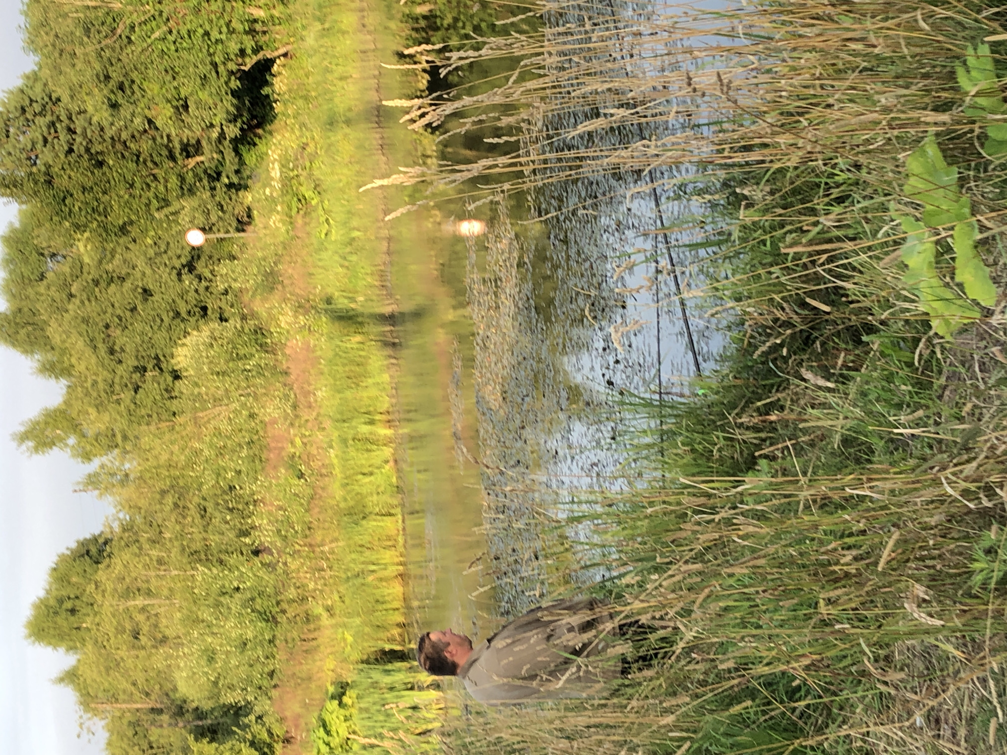 The image depicts a tranquil natural scene near the city of Makeikha, Russia, likely during the late afternoon or early evening given the warm lighting. In the foreground, a man, appearing to be in his late 30s or 40s, stands partially obscured by tall, dry grasses, facing away from the camera and towards a body of water. He is wearing a light brown jacket. The water is calm, reflecting the overcast sky and surrounding lush green trees. The shoreline is densely vegetated with reeds and other wild plants. In the background, a dense forest borders the water. A white circular sign on a pole is visible in the middle distance, surrounded by greenery. The overall impression is one of peaceful, natural beauty, perhaps a fishing spot.