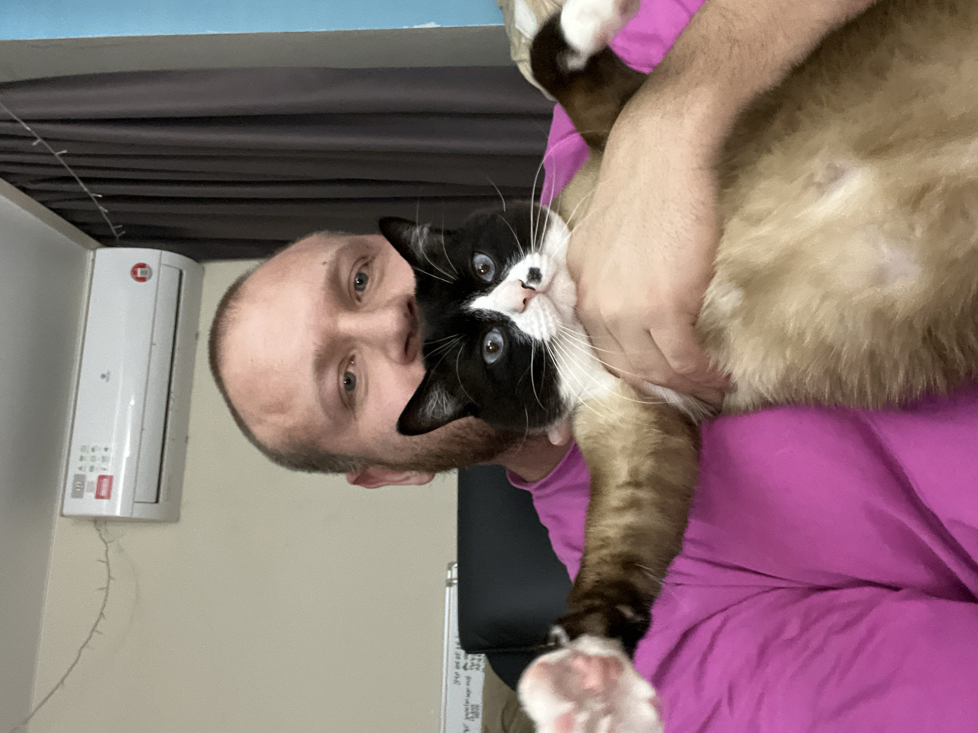 An indoor, close-up image depicts an adult Caucasian male holding a bicolored cat. The man, positioned centrally and filling the upper portion of the frame, has a short beard and short hair, and is wearing a bright magenta/pink t-shirt. His blue eyes are visible. He is holding a cat horizontally across his chest; the cat has a black face mask, black ears, a white muzzle with a small black spot on the right side of its nose, bright blue eyes, white paws, and a light brown/tan body. Its front paws are extended upwards.
The background consists of a light beige wall on the left, an air conditioning unit mounted high on this wall, and dark brown curtains on the right. A light string is visible extending from the wall near the air conditioner towards the curtains. A section of a light blue wall is visible on the far right. A black chair back is partially visible behind the man's left shoulder, with an illegible white board or framed object behind it. The specific city location of Noviy, Russia, cannot be determined from the image.