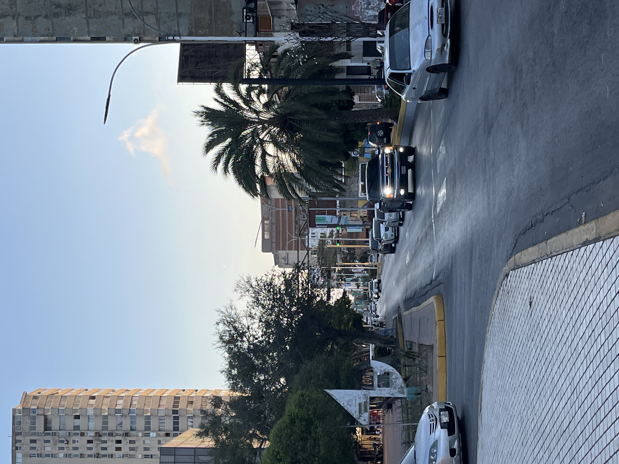 The image depicts a street scene in Porlamar, Venezuela, as seen from an elevated position. The street is lined with buildings of varying heights and architectural styles. A palm tree is prominently visible along with other trees lining the street. Cars are moving along the street. A sidewalk runs along the right side of the frame with a yellow curb. A white tiled building borders the right of the sidewalk. The sky is clear with a few clouds. The overall scene suggests a typical urban environment.