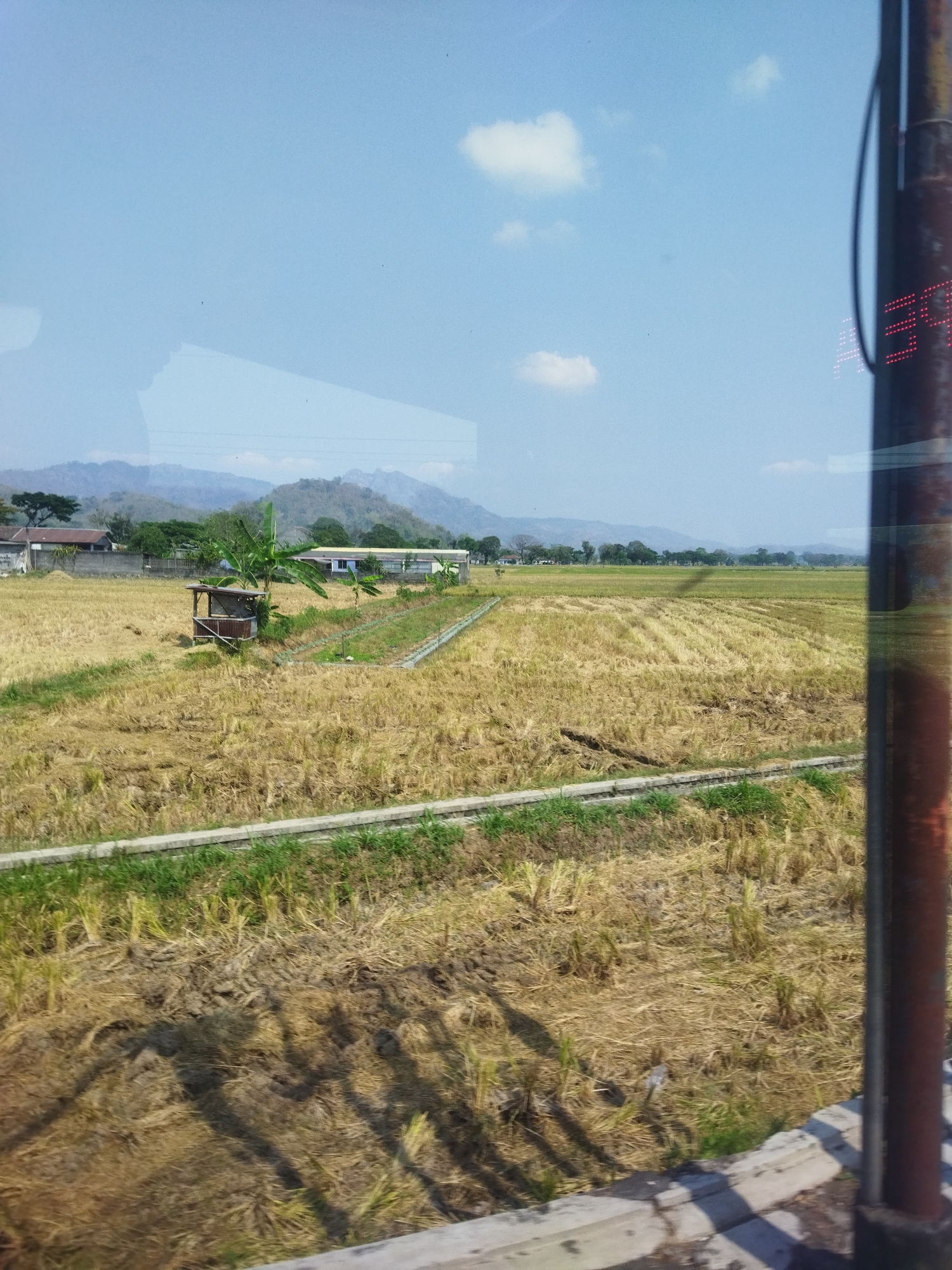 A wide shot captures a rural landscape in Selogiri, Indonesia, under a clear blue sky with a few scattered clouds. The foreground is dominated by a harvested rice field, the dry stalks forming a textured, golden-brown carpet. A concrete edge with green grass borders the field. In the middle ground, a small, rustic wooden shelter with a pitched roof stands amidst the field, accompanied by a young banana tree. Beyond the field, a row of trees and some buildings are visible, with rolling hills and mountains forming the distant background. To the right, a tall, weathered brown pole with red digital numbers is partially visible, obscuring the far right side of the scene. The overall impression is one of a dry, agricultural environment bathed in sunlight.