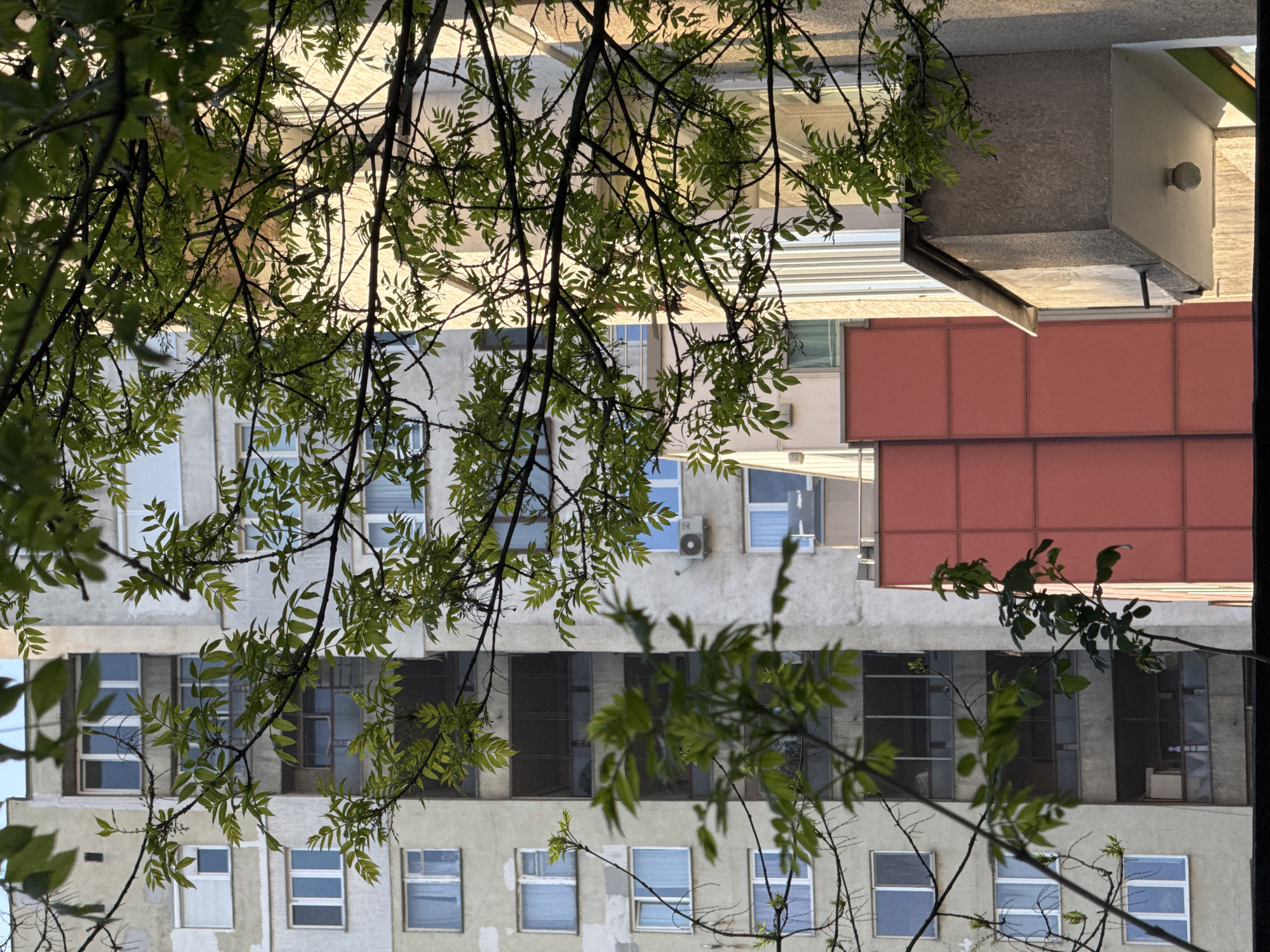 The image captures an upward view of multi-story buildings through a dense overlay of tree branches and green leaves, suggesting an urban setting in Sofia, Bulgaria. The perspective places the foliage prominently in the foreground, acting as a natural frame for the architectural elements behind.
In the mid-ground, several building facades are visible. A dominant structure features a light-colored, possibly concrete or stucco, exterior with numerous rectangular windows. These windows vary in appearance; some reflect the bright sky, while others appear dark, revealing interior spaces or shading. An external air conditioning unit is noticeable on one of these light-colored walls. Adjacent to or part of this structure, another section of building displays a distinct reddish-brown facade composed of evenly spaced rectangular panels. Further in the background, hints of other structures or the sky are visible through gaps in the buildings and foliage.
The lighting indicates a bright, sunny day, with strong light illuminating the building facades and casting subtle shadows from the branches onto the walls. No people or discernible activities are present, and the scene is static. There is no visible text on any of the structures. The overall impression is that of observing typical urban architecture from street level, partially obscured by natural elements.