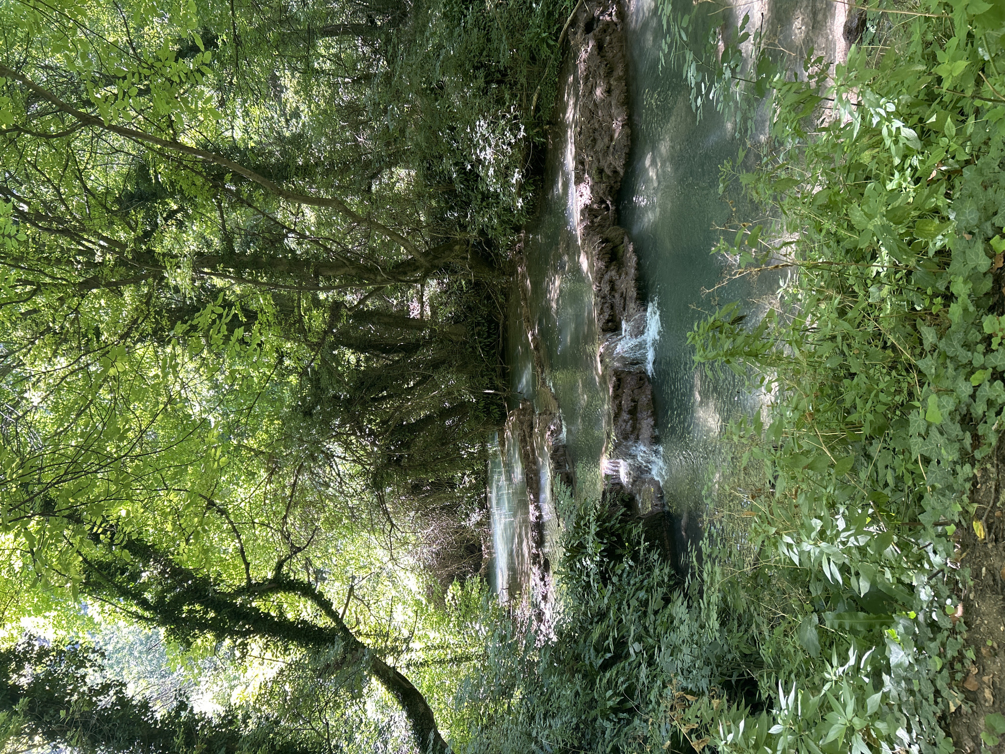 The image depicts a serene natural scene with a shallow, multi-tiered waterfall flowing over moss-covered rocks in a lush forest. The water is clear and turquoise, reflecting the sunlight filtering through the dense canopy of green trees. Abundant vegetation, including ferns and ivy, lines the banks of the stream, creating a vibrant, verdant atmosphere. The setting appears to be the Krushuna Waterfalls in Krushuna, Bulgaria, a popular natural attraction known for its picturesque cascades and surrounding ecological beauty. There are no people visible in the image, and the focus is solely on the tranquil environment. The lighting suggests it is daytime, likely late morning or early afternoon, given the dappled sunlight. The scene is a testament to the raw beauty of nature, untouched and peaceful.
