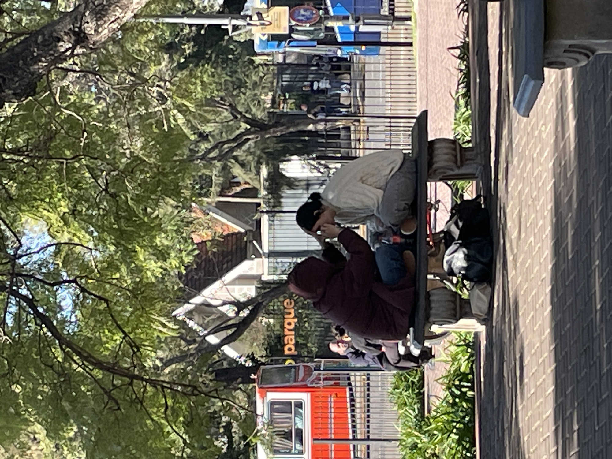 This image captures an outdoor scene on a bright, sunny day, likely in a park or public leisure area. The photograph is taken from a slightly elevated perspective and shows two individuals prominently in the foreground, seated on a bench or low wall. One person, dressed in a light-colored shirt and grey pants, is bent over, facing another person who is wearing a dark hooded jacket. The interaction appears gentle and personal, with the first person seeming to attend to or comfort the second. A black backpack or bag rests beside them on the bench.
The surrounding environment is rich with greenery; large trees with dappled sunlight filtering through their leaves dominate the upper and left portions of the frame. The ground is paved with brick-like tiles, showing strong shadows cast by unseen structures or foliage, indicative of clear weather.
In the mid-ground, a sign clearly displays the word "parque," which is Spanish for "park," confirming the setting. Below this sign, partially obscured by fencing and foliage, is a distinctive red and white train or trolley car, suggesting a recreational attraction or a specific mode of transport within the park or nearby area. Other blurry figures can be seen in the distance. The overall impression is one of a peaceful, everyday moment unfolding in a vibrant urban green space. Given the context, this scene likely takes place in Buenos Aires, Argentina.