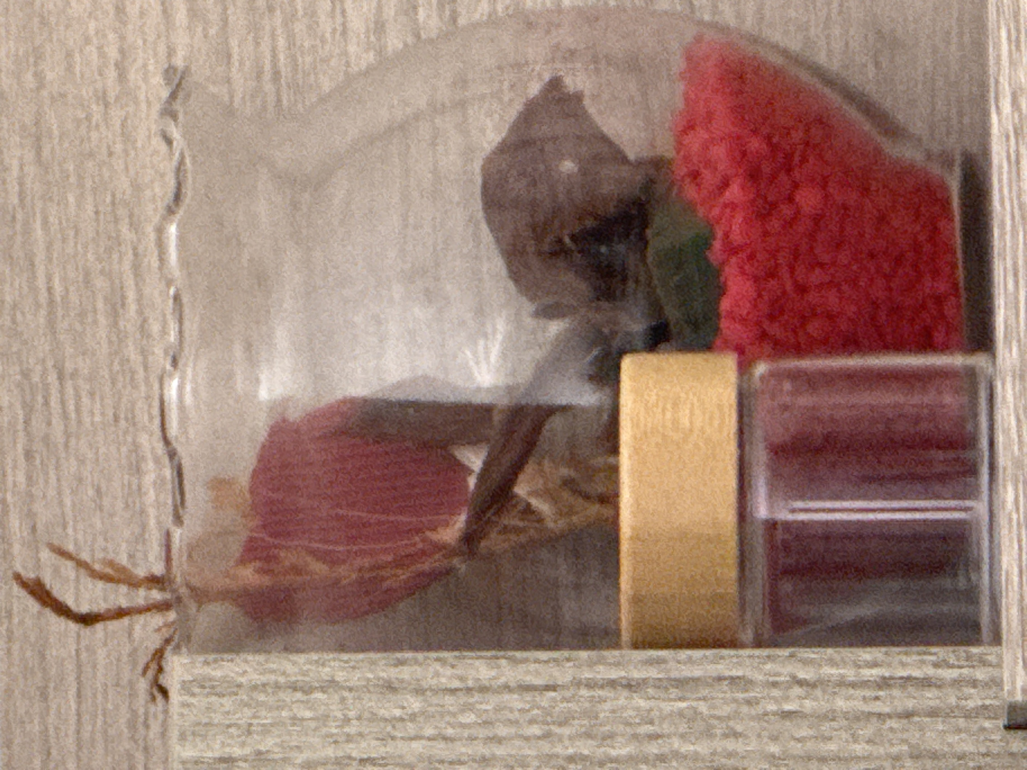 The image shows a shelf with a transparent bag filled with various dried items. Inside the bag, there appear to be dried leaves and petals, some of which are red, brown, and green. There is also a red, sponge-like object. Outside the bag and to the right, there's a rectangular block of what looks like tan-colored masking tape, and a smaller rectangular container with two dark, possibly red-colored, compartments. The location is not evident from the provided image.