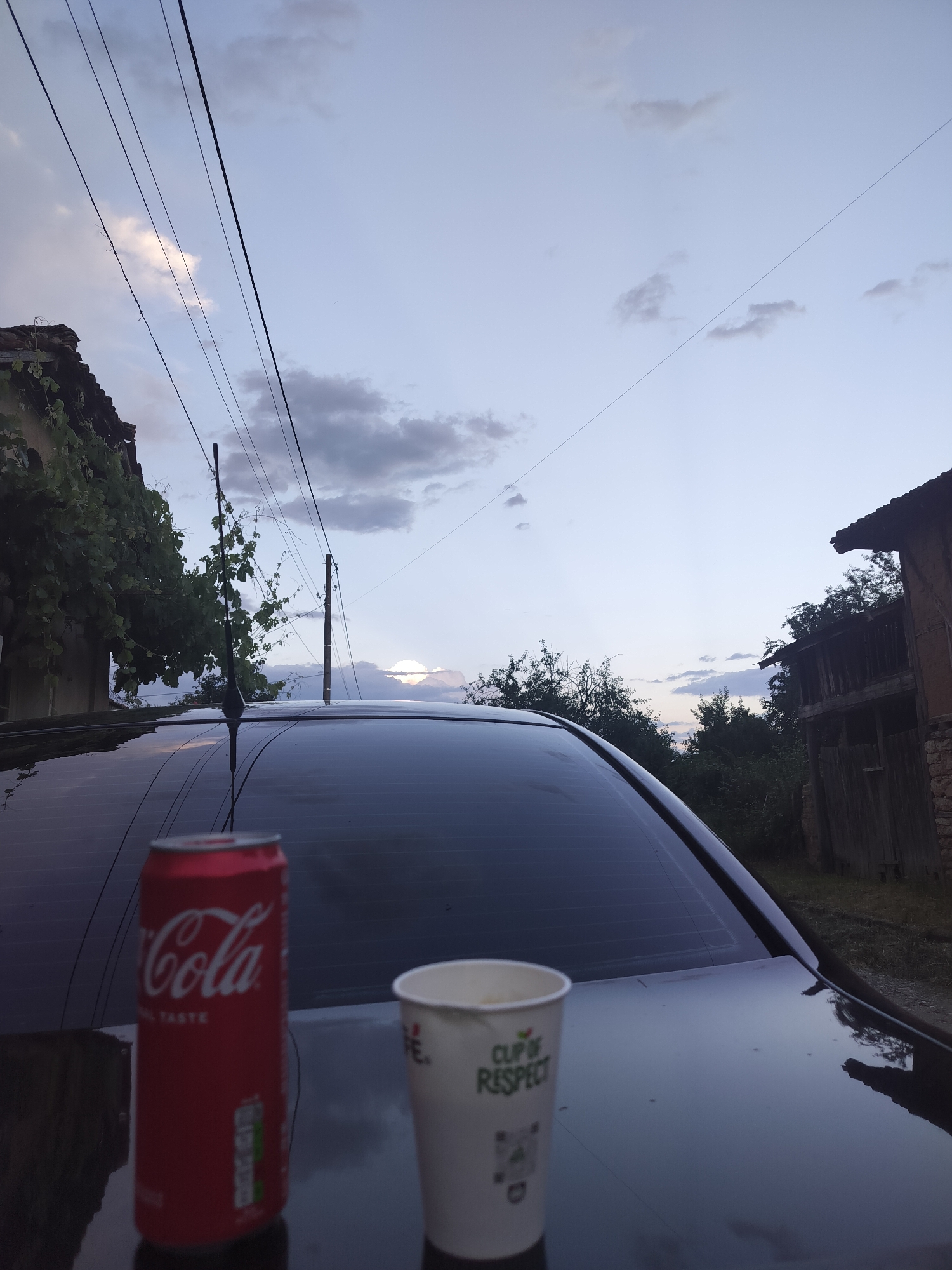 In Aleksandrovo, Bulgaria, at dusk, a Coca-Cola can and a paper cup sit on the trunk of a car. The car's tinted rear window reflects the sky. In the background, two rustic buildings and trees are visible, with power lines stretching across the twilight sky.