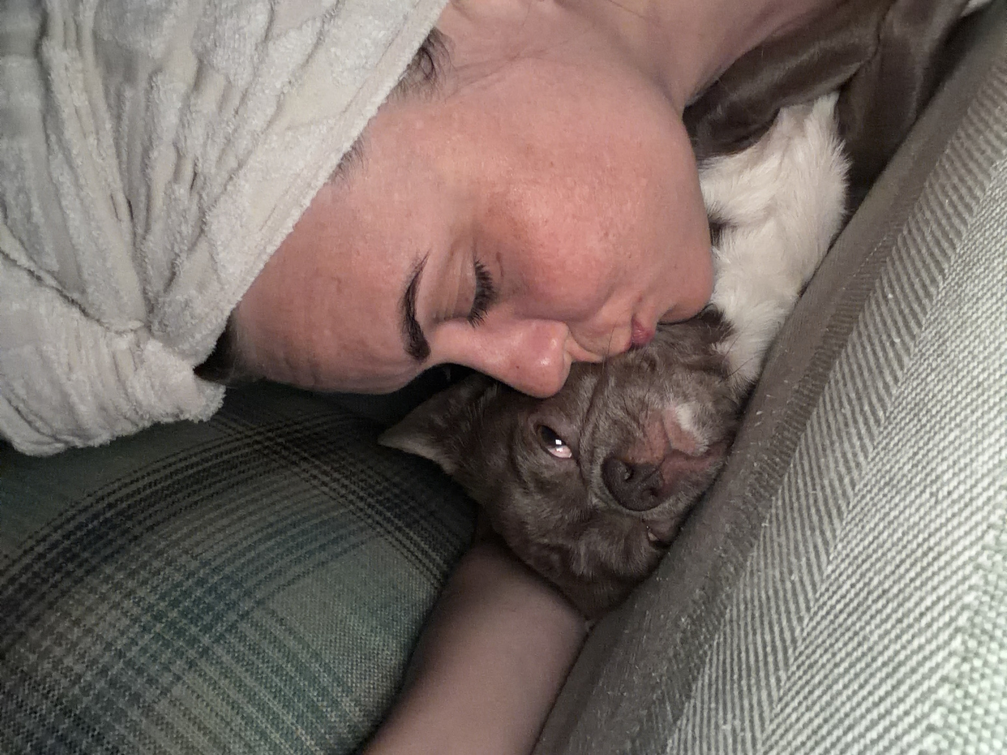 A person is lying on their side with their face pressed against a brown and white dog. The person has closed eyes and is wearing a white textured garment. The dog is facing the camera with its right eye open. They are both resting on a gray and green plaid surface, near a gray herringbone pattern surface. The location and city of Votkinsk, Russia, cannot be determined from the image.