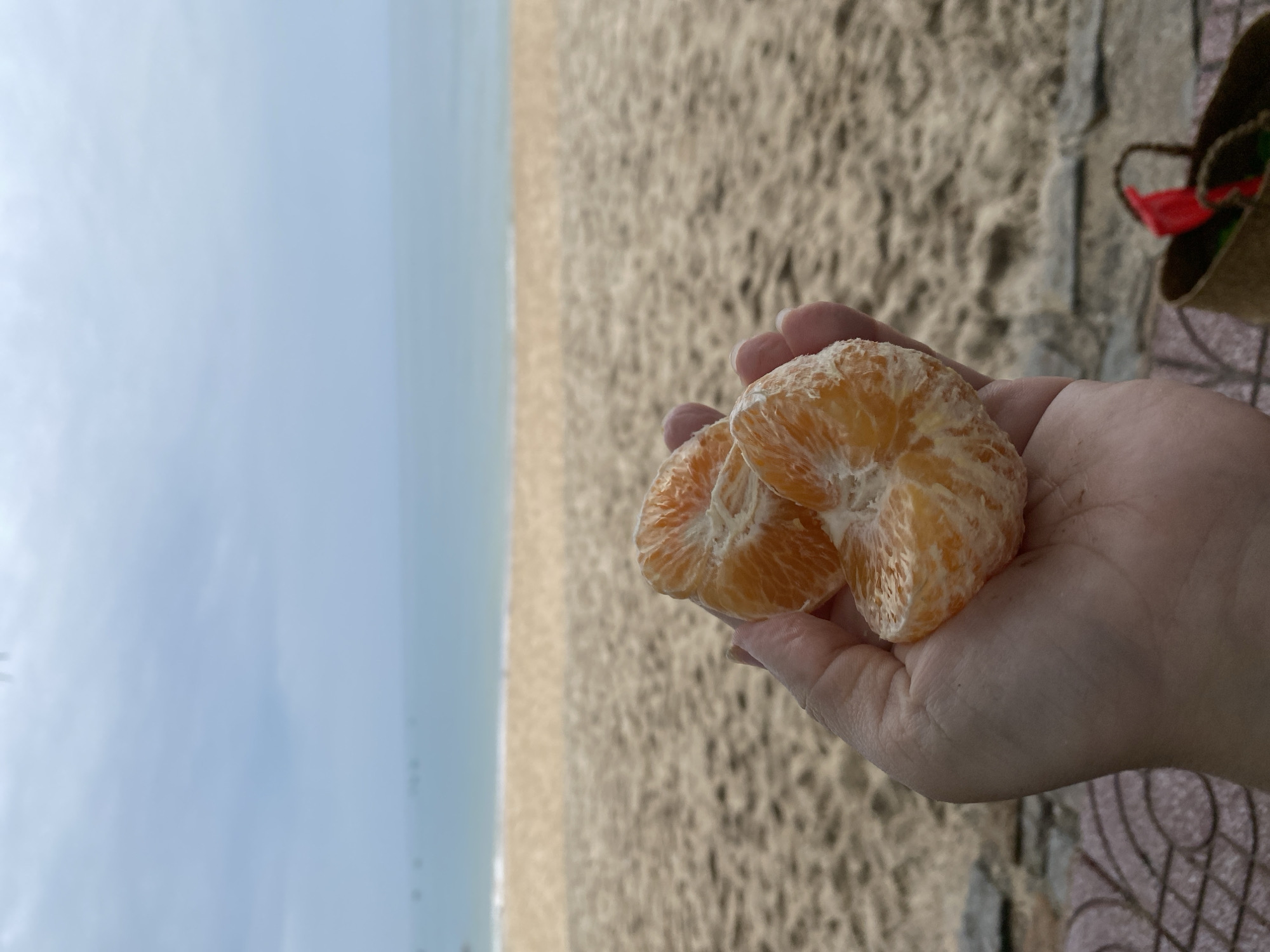 A photograph taken in Phu Thuy Ward, Vietnam, shows a close-up of a hand holding peeled orange slices. The background includes a sandy beach, the ocean, and the sky. A bag is visible in the upper right corner. The ground beneath the bag is paved.
