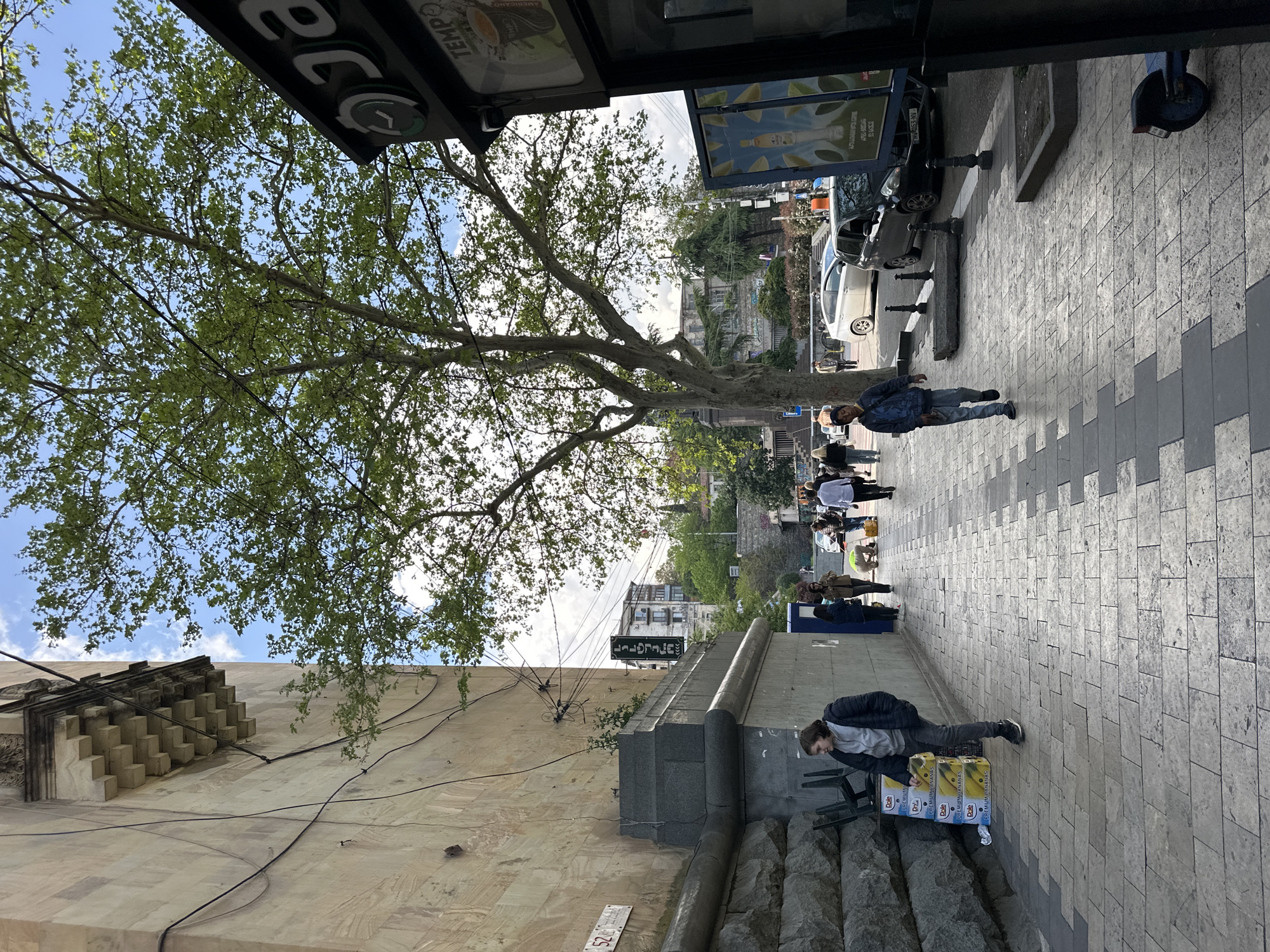 Here is a description of the image:
The image depicts a street scene in Tbilisi, Georgia. The shot is taken from an elevated perspective, looking down the sidewalk. On the right side of the image is a paved sidewalk with several pedestrians walking in the distance. Closer to the foreground, a man is standing near a stack of boxes labeled "Dole PREMIUM BANANAS" and appears to be interacting with them, possibly selling bananas.
On the left side of the image, there is a tall building with a unique architectural feature: a decorative element with a repeating geometric pattern. Power lines are visible running along the side of the building. In the background, there are more buildings and greenery, typical of an urban landscape.
Overhead, a large tree with green leaves spreads its branches, partially obscuring the sky. A bus stop or similar structure is visible at the top of the image, with signage that includes the word "TEMPO". Cars are parked along the street.