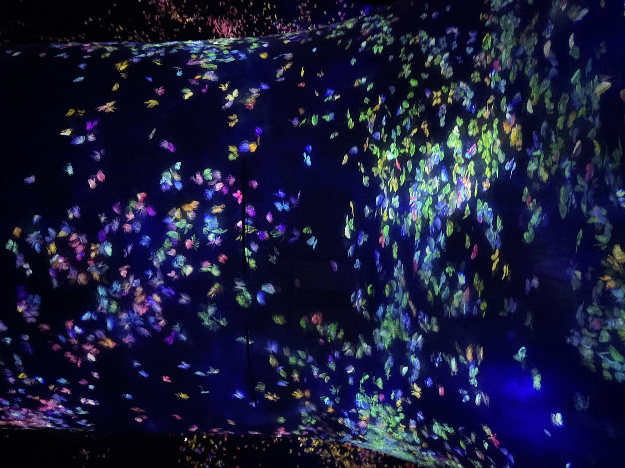 The image shows a cylindrical structure, likely a pillar or a wall, projected with colorful, abstract light patterns. The patterns resemble a swarm of glowing, translucent butterflies or petals in various shades of pink, purple, green, blue, and yellow. These luminous forms are densely scattered across the dark surface, creating a vibrant and dynamic visual effect. The overall impression is one of an immersive light installation or art exhibit. Given the context of Abu Dhabi and the nature of such displays, this could be an installation at a cultural venue such as the Louvre Abu Dhabi or a temporary exhibition.