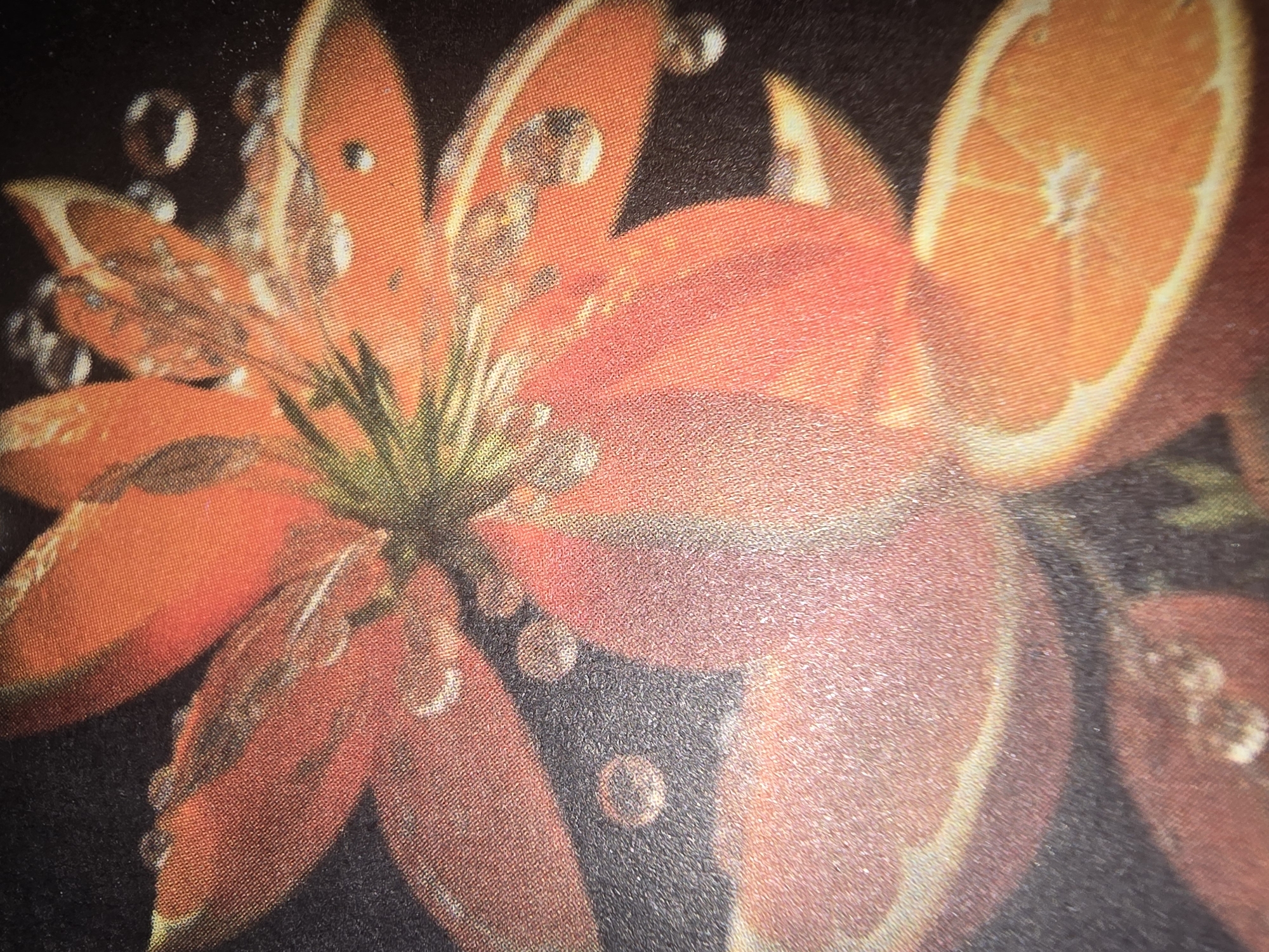 The image displays a close-up, high-angle shot of an arrangement featuring an abstract, flower-like shape composed of vibrant orange and red hues, interspersed with what appear to be water droplets. This central element has petal-like structures that curl and overlap. Below and around this central form, there are sliced pieces of oranges, revealing their juicy, segmented interiors and white pith. The background is a dark, textured surface. The overall impression is one of a stylized artistic representation, possibly a still life or a graphic design. There are no discernible elements that would allow for identification of its location in the city of Ulan-Ude, Russia, or any specific environmental context beyond the depicted subjects.