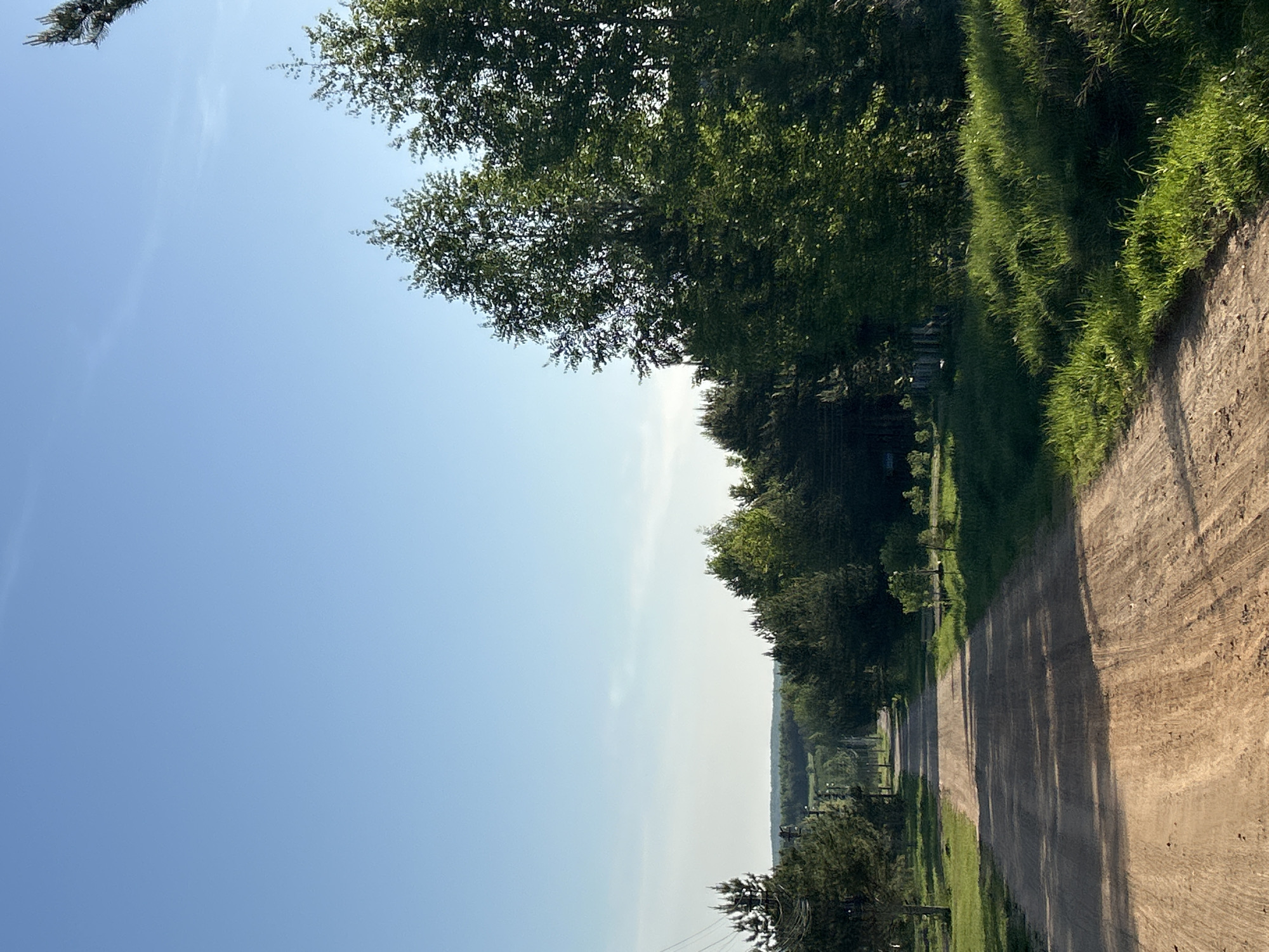 The image shows a dirt road running through a rural area. The road is lined with trees and grass on both sides. The sky is blue with a few clouds. The location is Dubovaya, Russia.