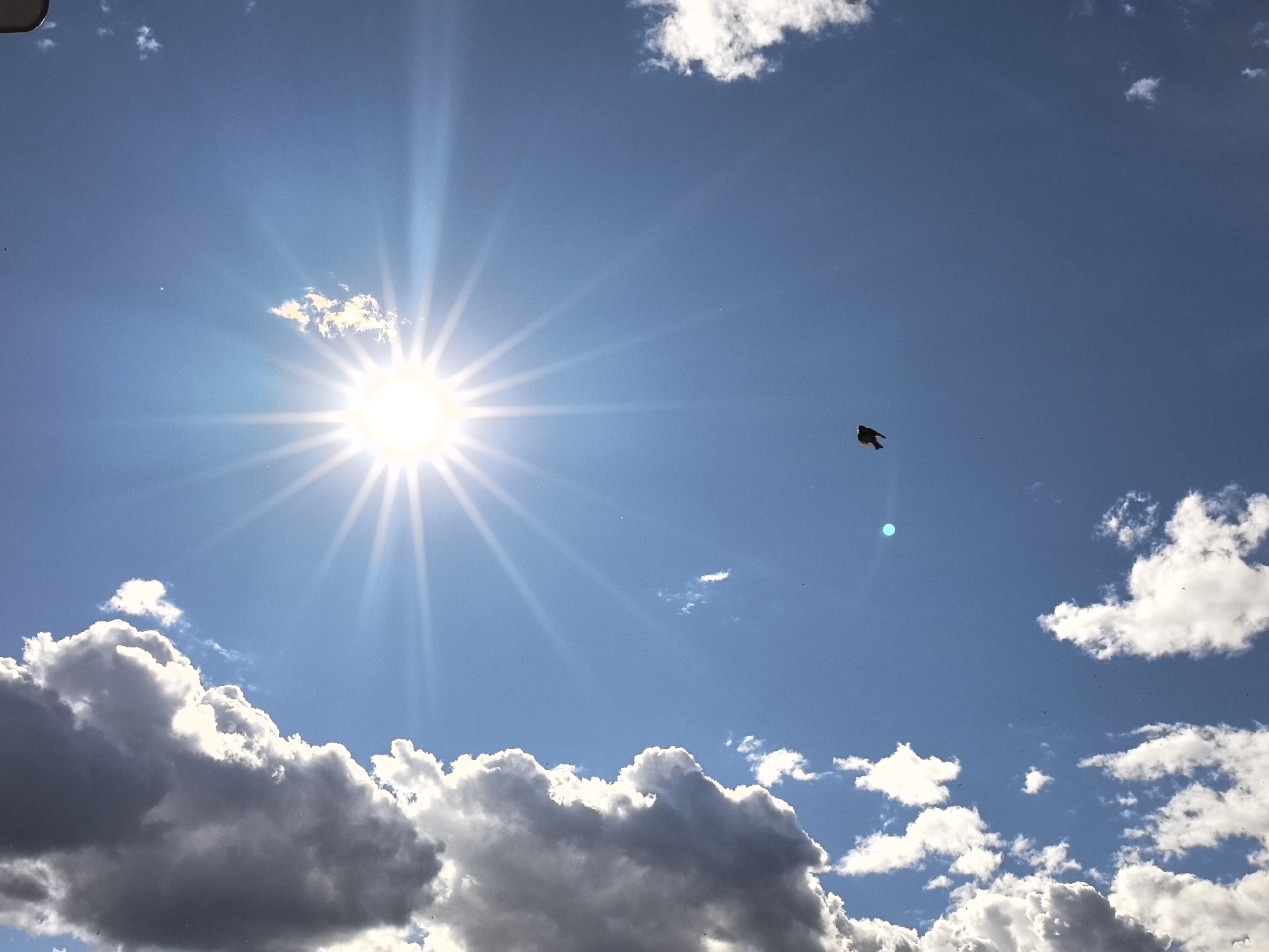 A bright sun with distinct rays shines in a clear blue sky, partially obscured by fluffy white and gray clouds. The sun's glare is intense, creating a starburst effect. In the mid-ground, a bird is captured in flight, silhouetted against the sky. The lower portion of the image features dramatic, shadowed clouds that contrast with the bright sunlit ones above. The scene suggests a daytime setting with varied cloud cover, typical of fair weather. There is no visible text in the image.