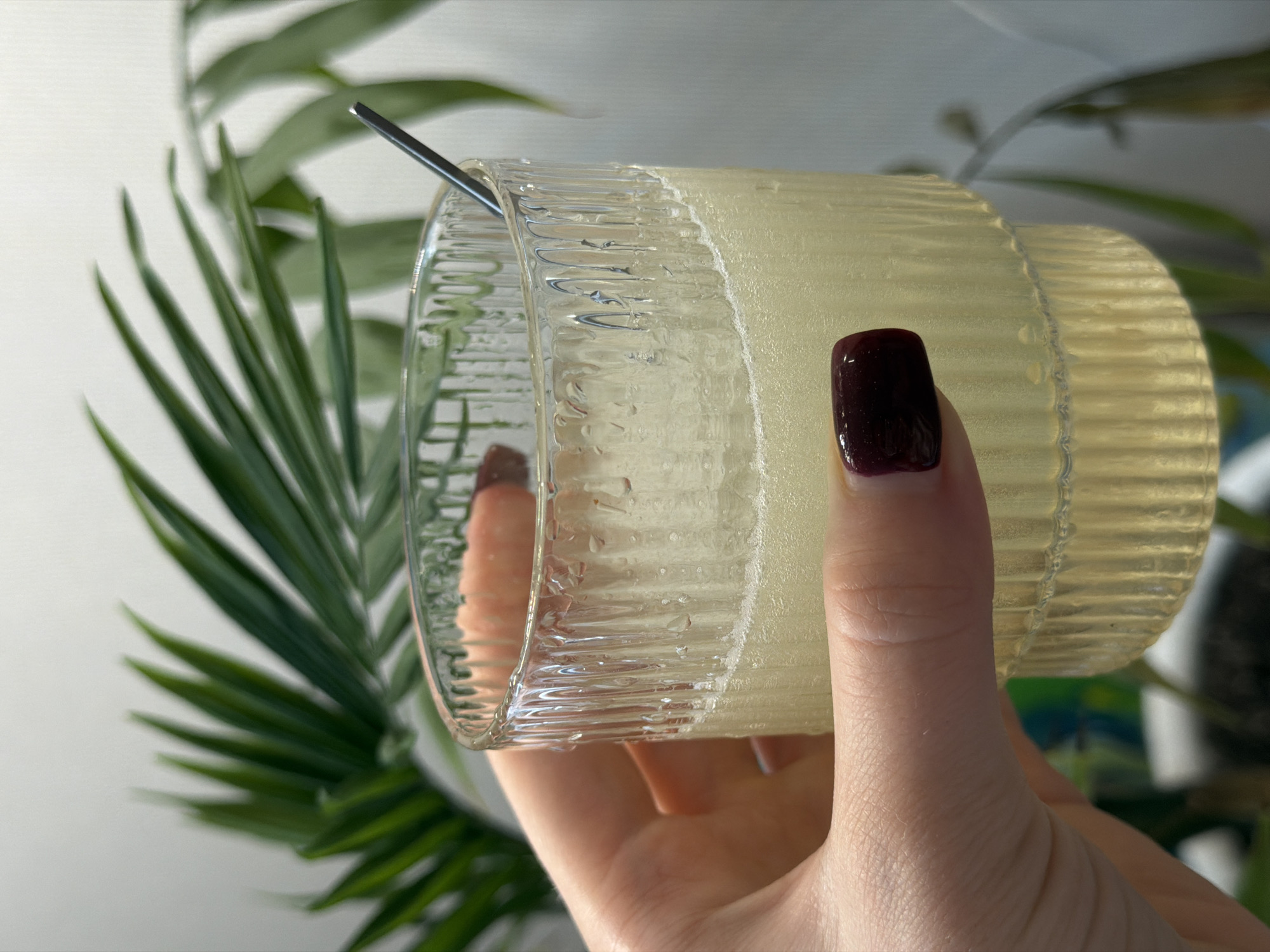 A close-up, eye-level shot captures a person's hand holding a textured glass filled with a pale yellow drink, set in Zasechnoye, Russia. The hand, with fair skin, displays a dark, glossy burgundy nail polish on the index finger that is gripping the glass. The clear glass features a distinctive vertical ribbed pattern on its exterior. The drink inside appears thick and frothy, possibly a fruit smoothie or juice, with a slender metallic spoon or stirring rod partially submerged.
The background is softly blurred, revealing vibrant green leaves of a large, palm-like houseplant positioned against a plain white wall. The scene is illuminated by bright, natural daylight, indicating it is daytime. There is no visible text in the image.