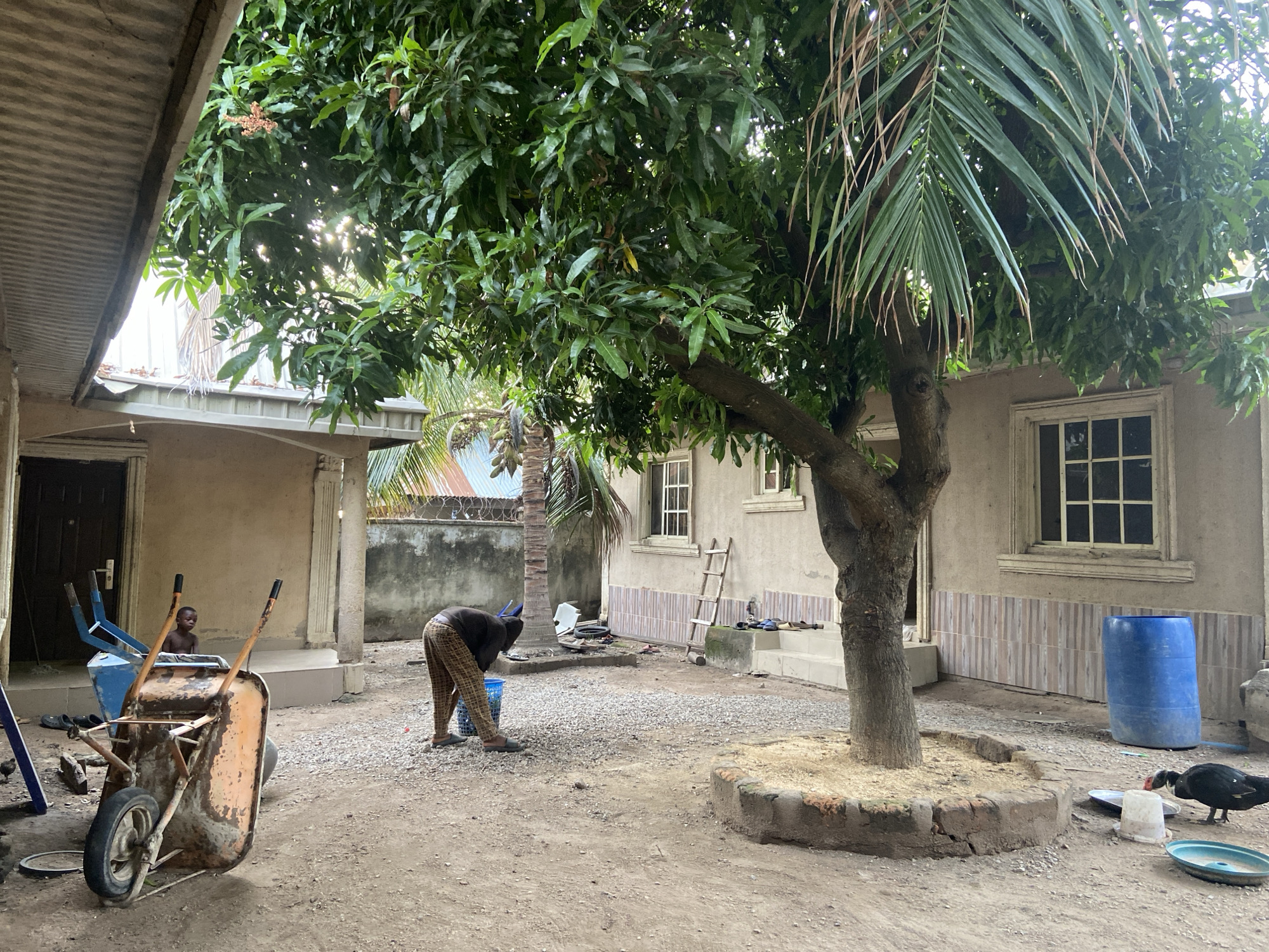 The scene captures a residential yard in Mararaba, Nigeria. A man is bent over, apparently working on the gravel-covered ground near a blue bucket. A young boy is in the background, seated in a blue wheelbarrow. Nearby is a dilapidated, orange-colored wheelbarrow. The yard contains a large tree with a raised brick base surrounding the trunk. Several chickens and ducks are seen foraging around the yard. A blue barrel is positioned against a building. A ladder leans against the side of the building. The buildings are single-story, painted in a neutral color with visible windows and doors. A corrugated metal roof is on one building. The overall environment is simple and unkempt.