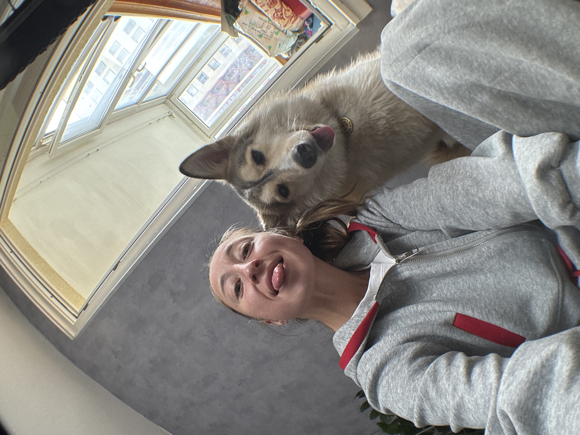 This is a low-angle, wide-shot selfie taken indoors in Chaikovsky, Russia, featuring a young woman and a dog. The woman, with her hair pulled back and a playful expression, is sticking her tongue out. She is wearing a grey hooded jacket with red trim. The dog, a mixed breed with light brown and grey fur, is positioned above her, also with its tongue out and looking directly at the camera. Both subjects are in focus, with the background slightly blurred.
The scene appears to be a domestic setting, with a window in the upper left corner showing an overcast sky and buildings outside, suggesting daytime. The window is a skylight with multiple panes, some of which are open. The interior walls are painted in neutral tones, with a textured grey wall visible in the foreground.
The overall mood is lighthearted and cheerful, conveyed by the playful expressions of both the woman and the dog. The photo has a casual, spontaneous feel. No visible text is present in the image.