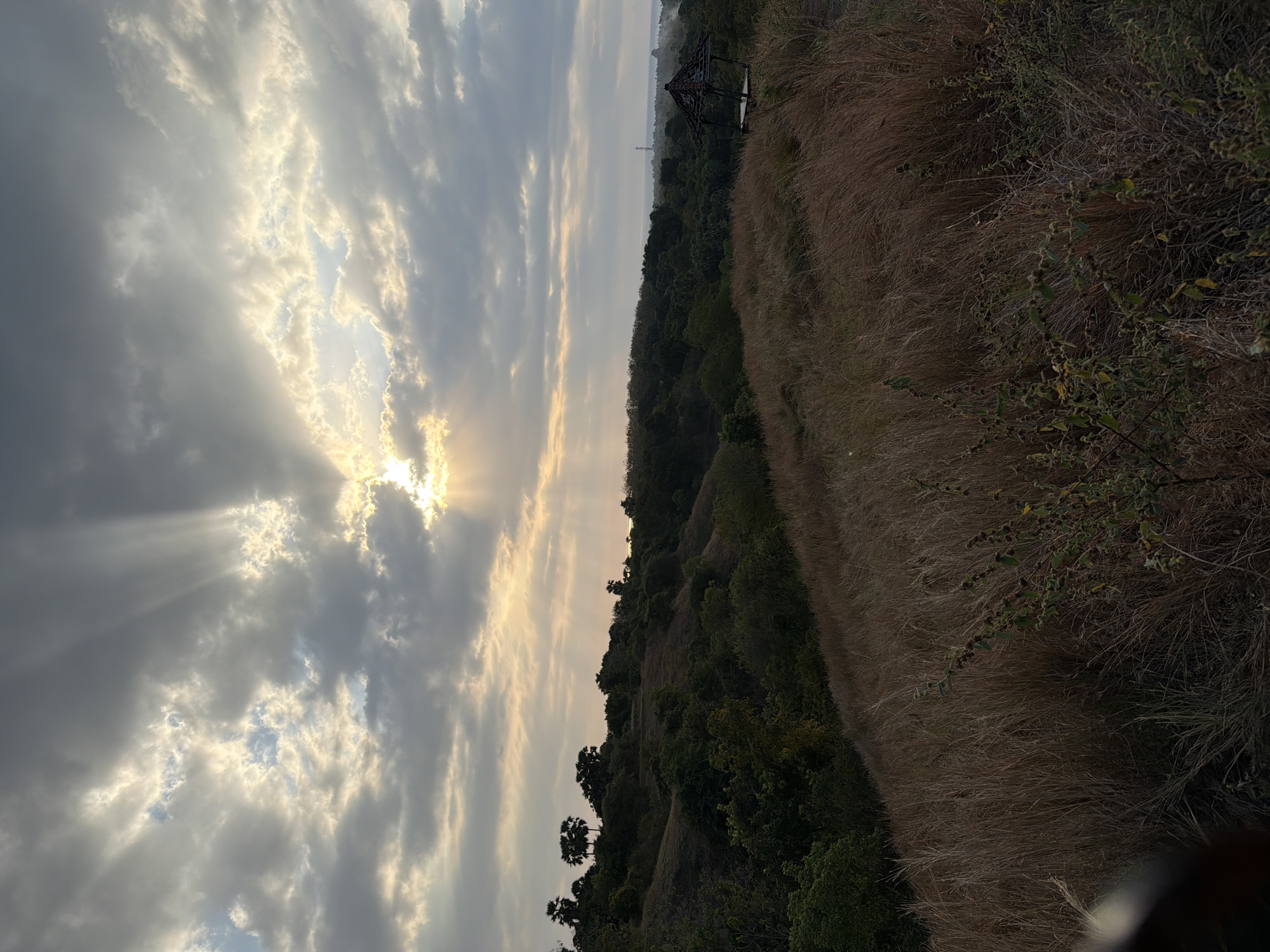 The image depicts a landscape at dawn or dusk, with the sun's rays breaking through scattered clouds. The foreground is dominated by dry, tall grass, suggesting a slightly arid environment. In the middle ground, rolling hills are covered with dense green vegetation, interspersed with scattered palm trees. To the right, a small, rustic open-sided shelter with a thatched roof is visible on a hilltop. The background shows a hazy horizon with a hint of distant structures. This scene is likely located in the natural landscape of Kubutambahan, Indonesia, possibly on a viewpoint overlooking the coast or rural area. There are no people or animals present in the image.
