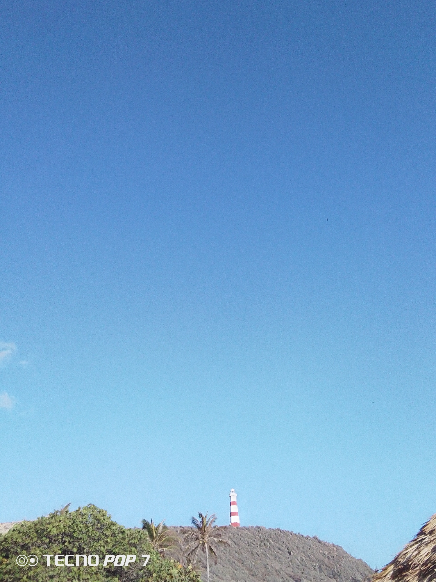 The image presents a bright, clear blue sky dominating the view, with a small bird visible in the upper-center portion. Below, a landscape with green trees and some palm trees sits on a hill. A lighthouse with alternating red and white stripes stands prominently at the top of the hill. The location is Pedro González, Venezuela. A portion of a thatched roof structure is also visible on the right. The text "TECNO POP 7" is displayed in the lower-left corner.