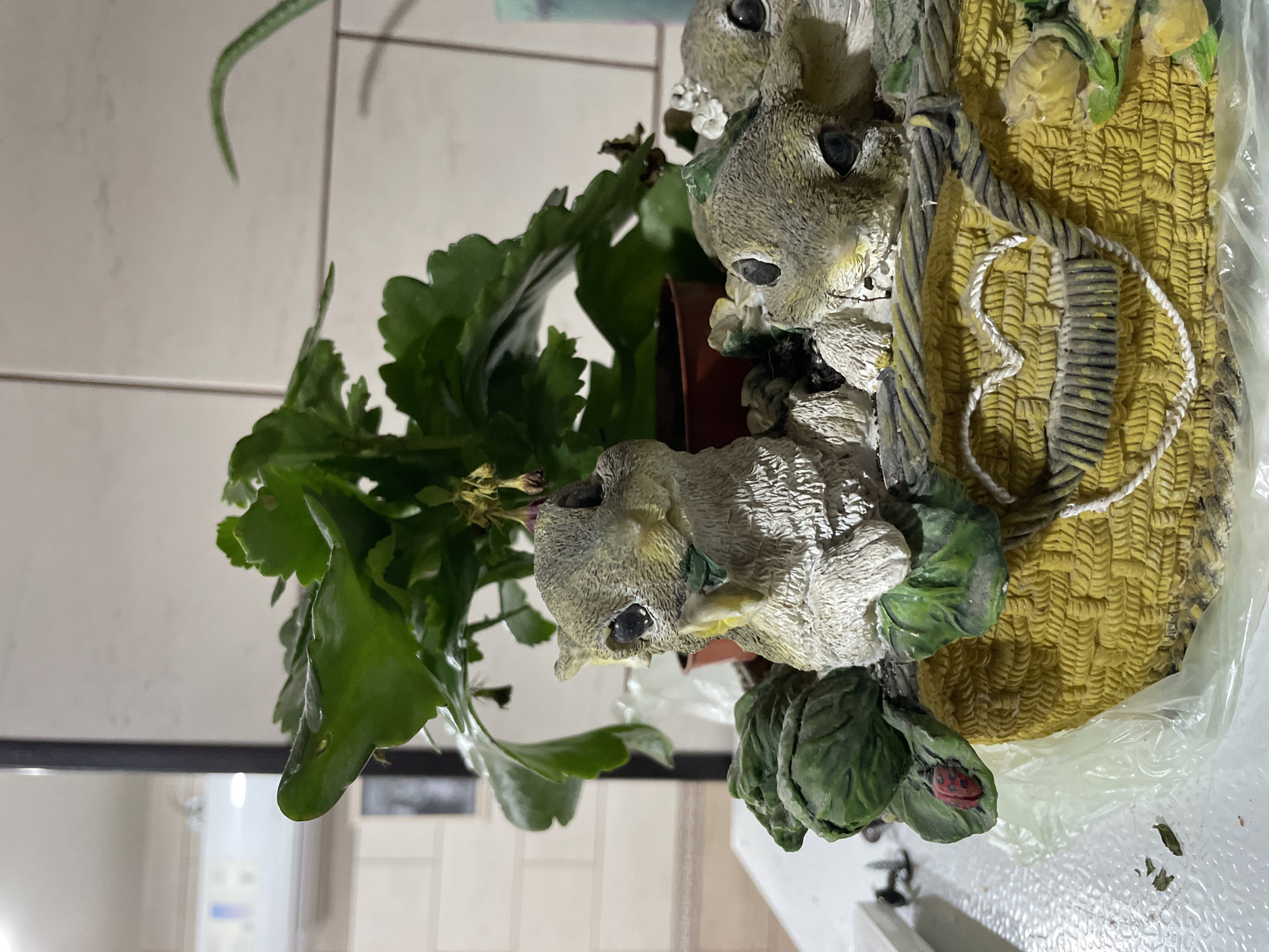The image shows a close-up of a decorative basket planter containing a green plant and figurines of squirrels. The planter is yellow and has a woven texture. A heart shape made of rope is visible on the front of the planter. A ladybug is perched on a green leaf next to one of the squirrel figurines. The background is blurred, but appears to be an indoor setting with tiled walls and some furniture. There is no indication of the location being Bolshaya Martynovka, Russia.