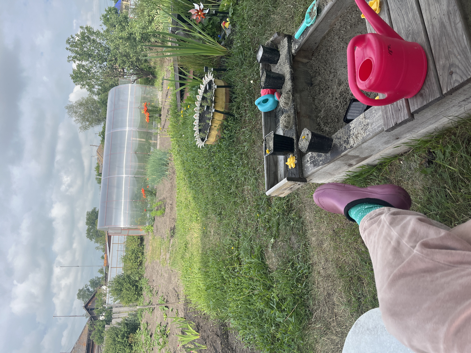 The image depicts a scene in the village of Sukhrinskoye, Russia, focusing on a garden area with a sandbox. In the foreground, a person's legs are visible, wearing light pink trousers and purple clogs with green and white socks. The person is seated, with their left leg extended. The sandbox, made of weathered wood, is filled with sand and contains several black pots, some with small plants or seeds, along with sand molds and a blue toy watering can. A bright pink watering can rests on the edge of the sandbox. Behind the sandbox, a patch of green grass and various plants are visible. In the mid-ground, a circular raised garden bed, made from what appears to be a repurposed tire, is planted with small green seedlings. Further back, a large, transparent plastic greenhouse with orange flowers inside is situated in a tilled garden plot. The background shows a rural landscape with wooden houses, trees, and a cloudy sky. The overall impression is of a domestic garden space in a rural setting.