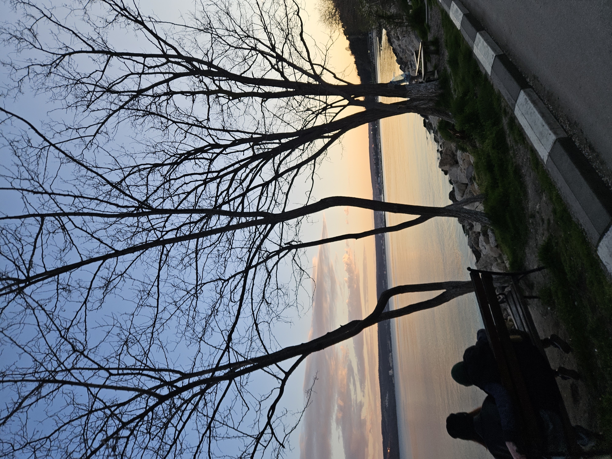 A landscape photograph, oriented vertically, shows a tree with bare branches silhouetted against a blue sky on the left and a body of water reflecting orange and pink light on the right. The photo is taken in Varna, Bulgaria, likely along the coastal area.
The tree is large, with many thin, branching limbs that reach across the left side of the frame. The sky transitions from blue to a light orange near the horizon. The body of water reflects the colors of the sky and the horizon.
A section of asphalt and a curb with alternating black and white blocks run along the top right corner of the image. A park bench, partly obscured in shadow, is located on the right edge of the photograph, with dark shapes suggesting people seated on it. The overall lighting indicates it is likely dusk or dawn. A narrow strip of land with trees can be seen in the background.