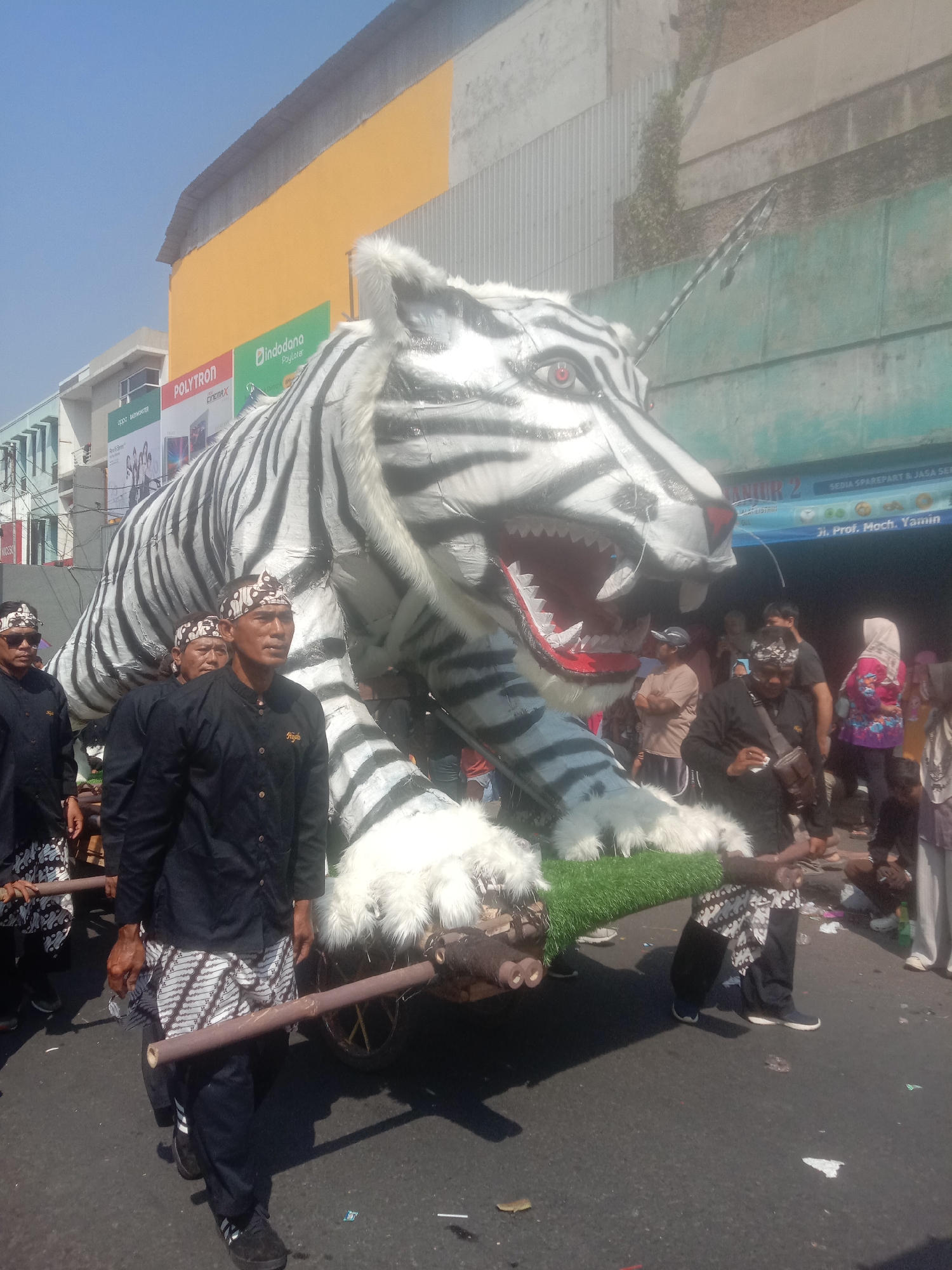 The image depicts a parade in the city of Cianjur, Indonesia, featuring a large, white tiger effigy with black stripes. The effigy is being carried on a cart by several men. These men are dressed in black shirts and batik pants, with headbands bearing a similar pattern. The tiger effigy is the central focus, with its mouth open revealing red and white teeth, and its eyes are red. The parade appears to be taking place on a street, with buildings visible in the background. One building has a yellow facade and features signage for "POLYTRON" and "Indodana". Another building has signs that read "SEDIA SPAREPART & JASA SERVIS" and "Jl. Prof. Moch. Yamin". A crowd of spectators is gathered on the sides of the street, some of whom are looking at the effigy. The sky is clear and blue, indicating a sunny day. The ground is paved asphalt.