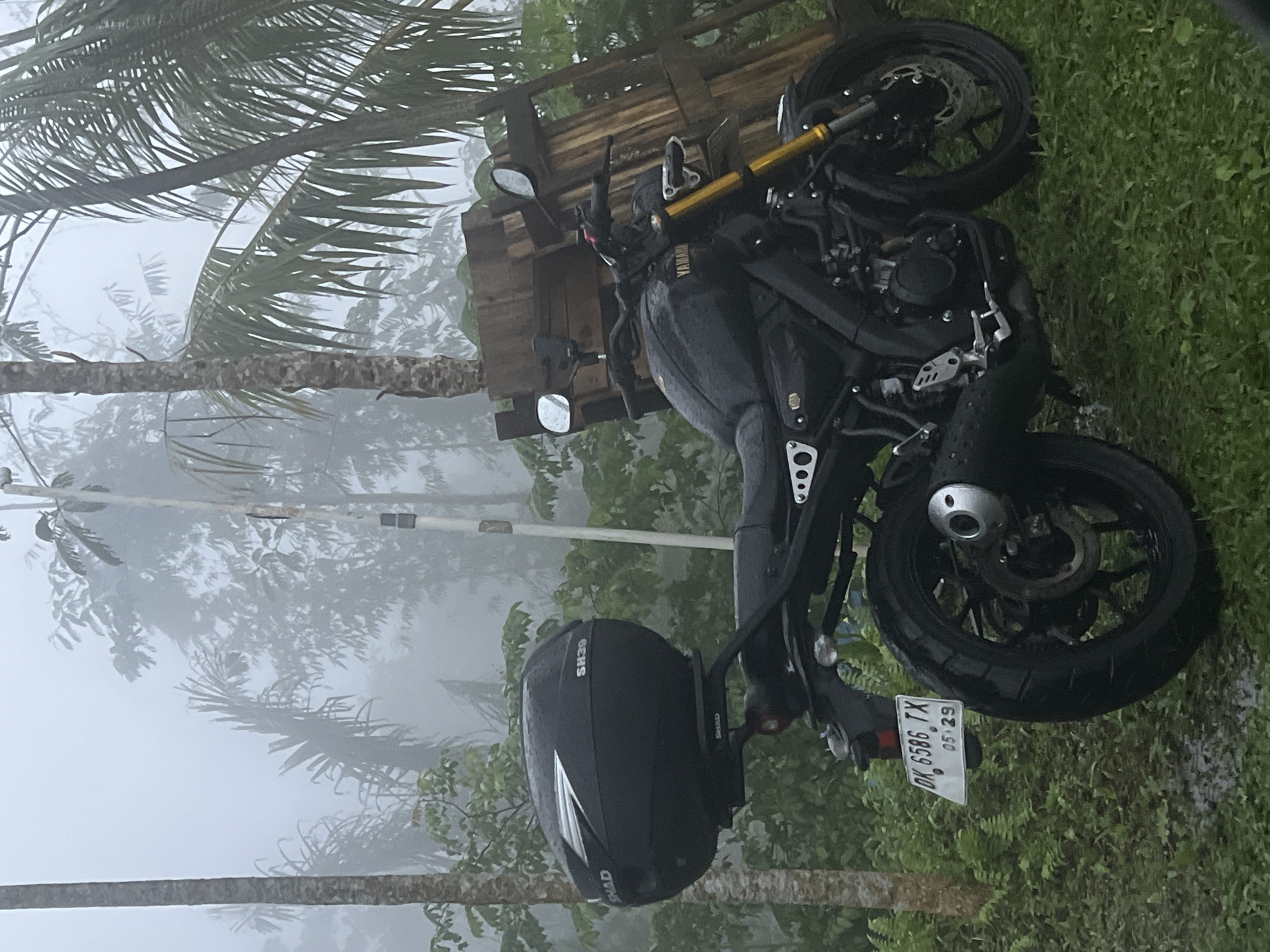 The image shows a black Yamaha motorcycle parked on grass in a foggy outdoor environment. Palm trees are visible in the background. The motorcycle has a storage box attached to the rear. The license plate reads "DK 6586 TX" with "05.29" beneath, presumably indicating the month and year. The location is Bebandem, Indonesia. There are no people in the image.